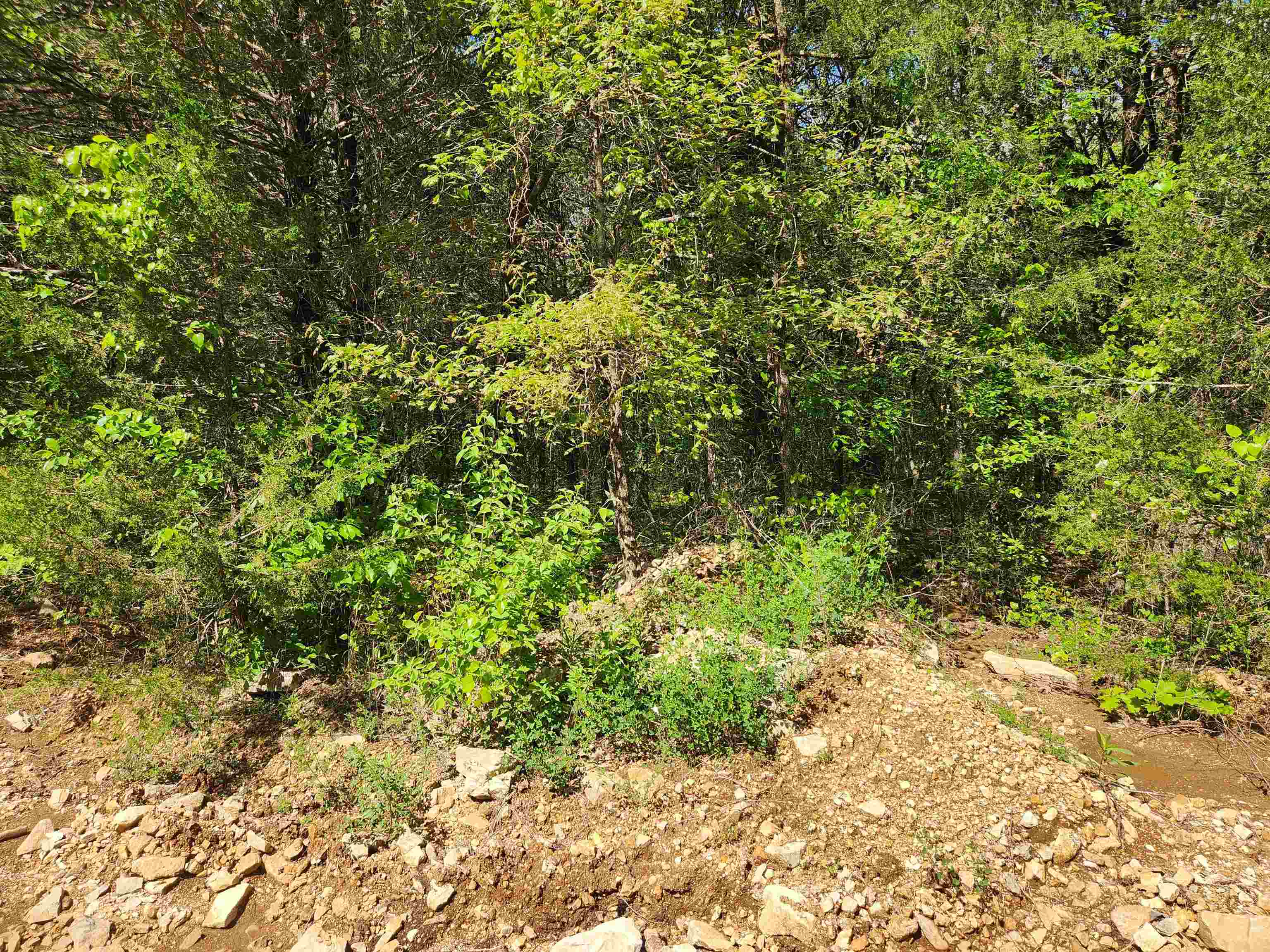 Wolf Hollow Unit 3 - Land