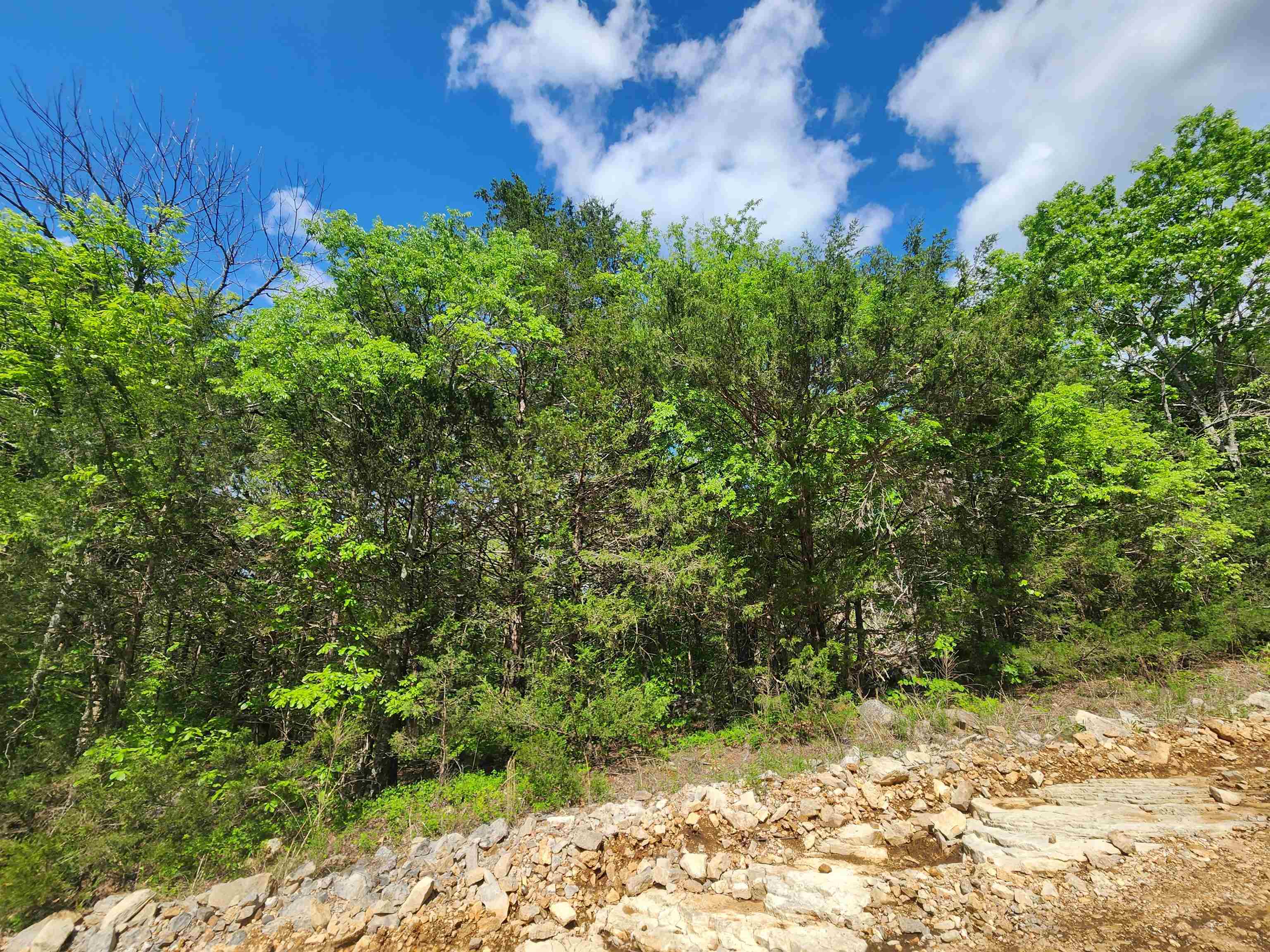 Wolf Hollow Unit 3 - Land