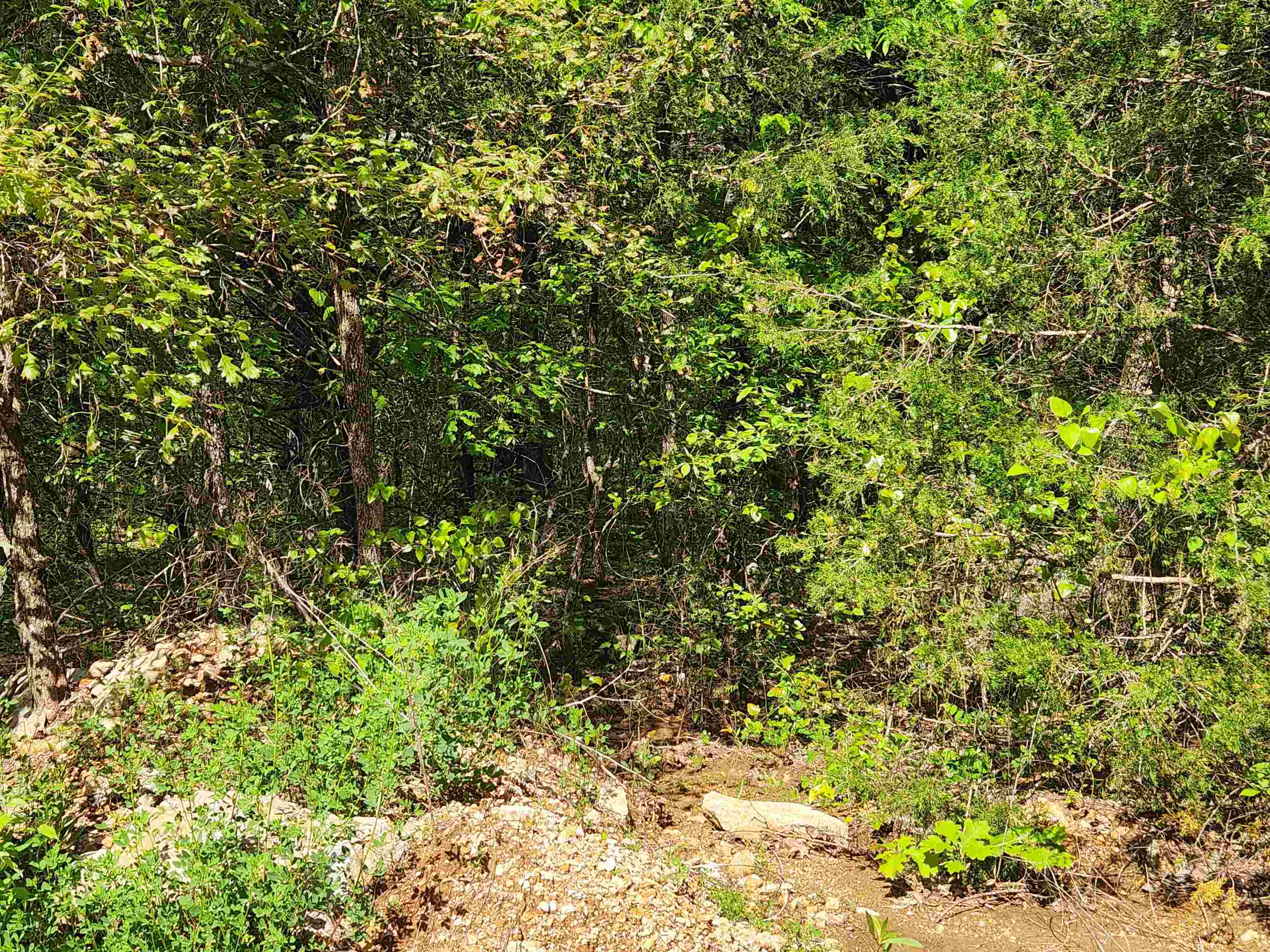 Wolf Hollow Unit 3 - Land