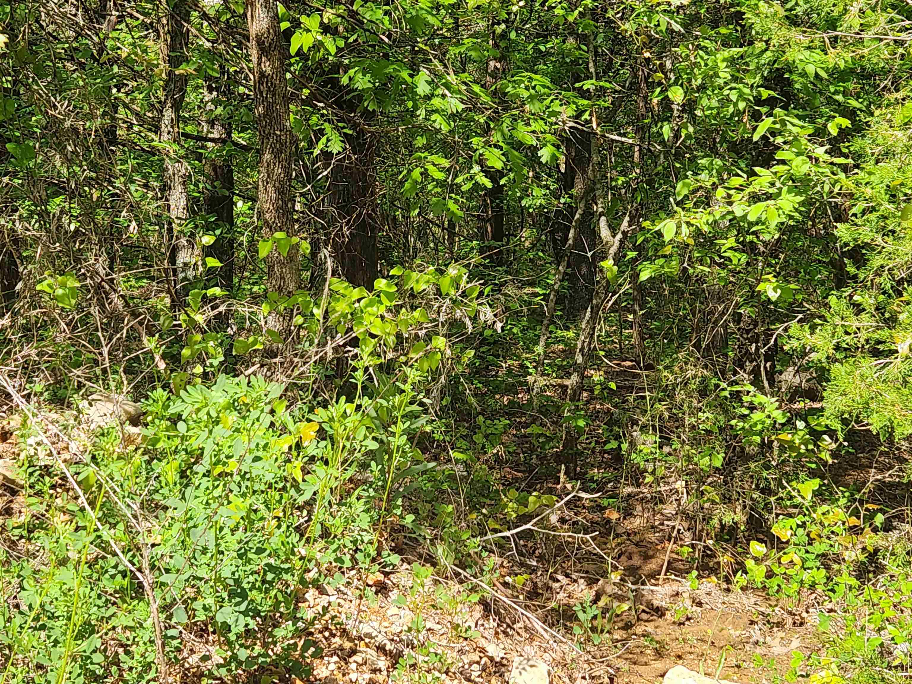 Wolf Hollow Unit 3 - Land