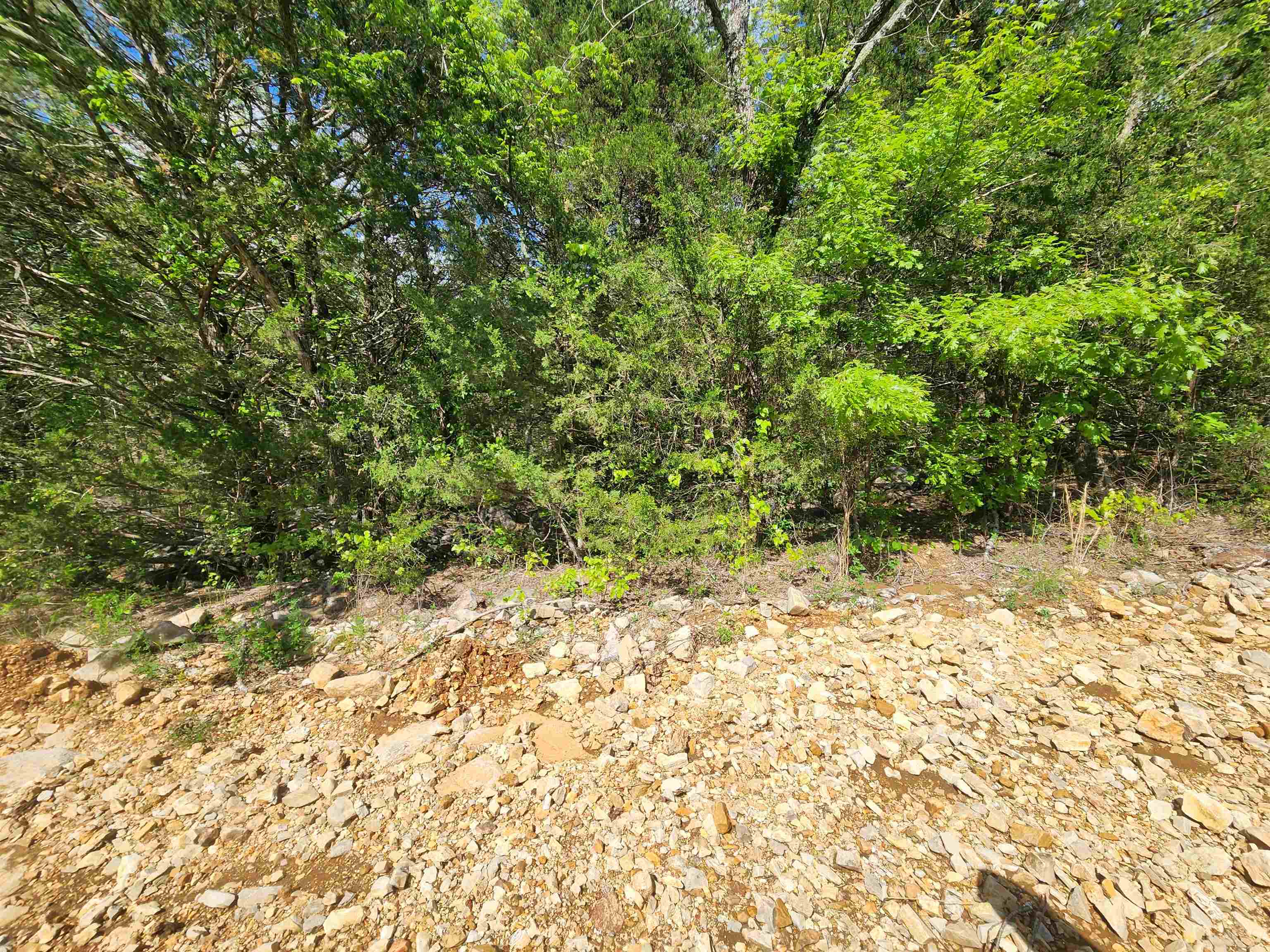 Wolf Hollow Unit 3 - Land