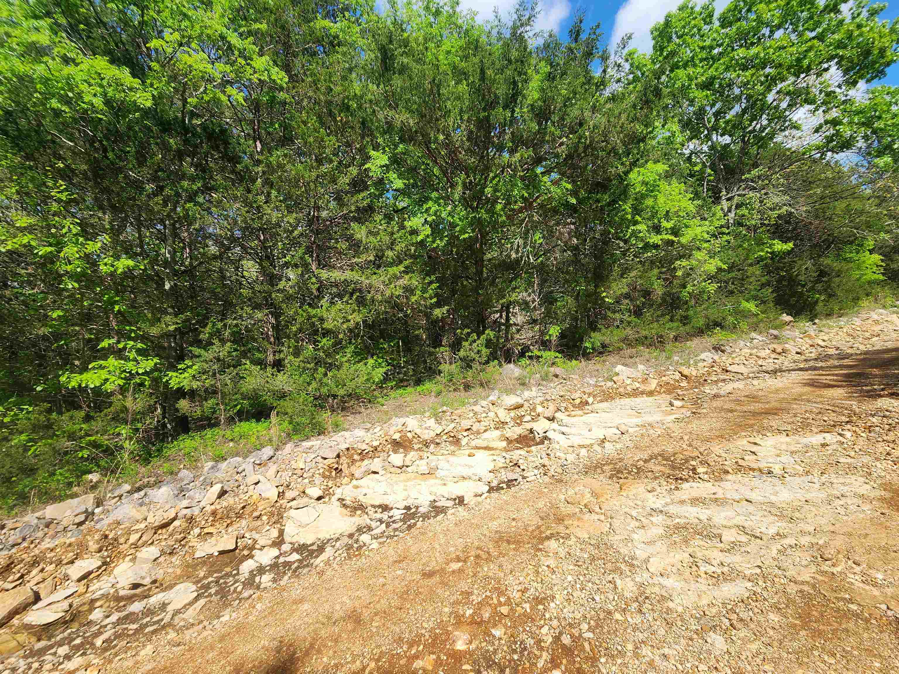 Wolf Hollow Unit 3 - Land