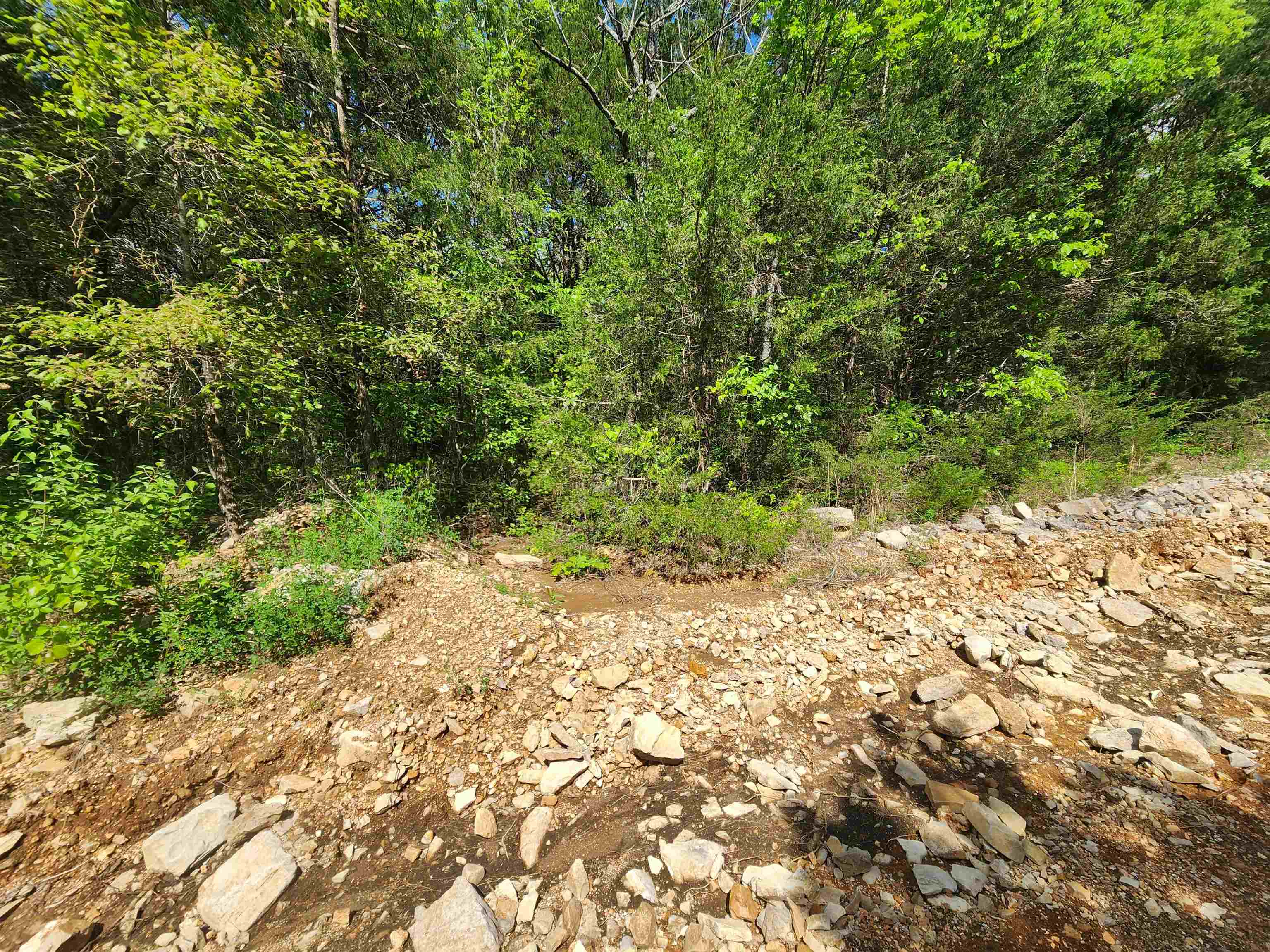 Wolf Hollow Unit 3 - Land