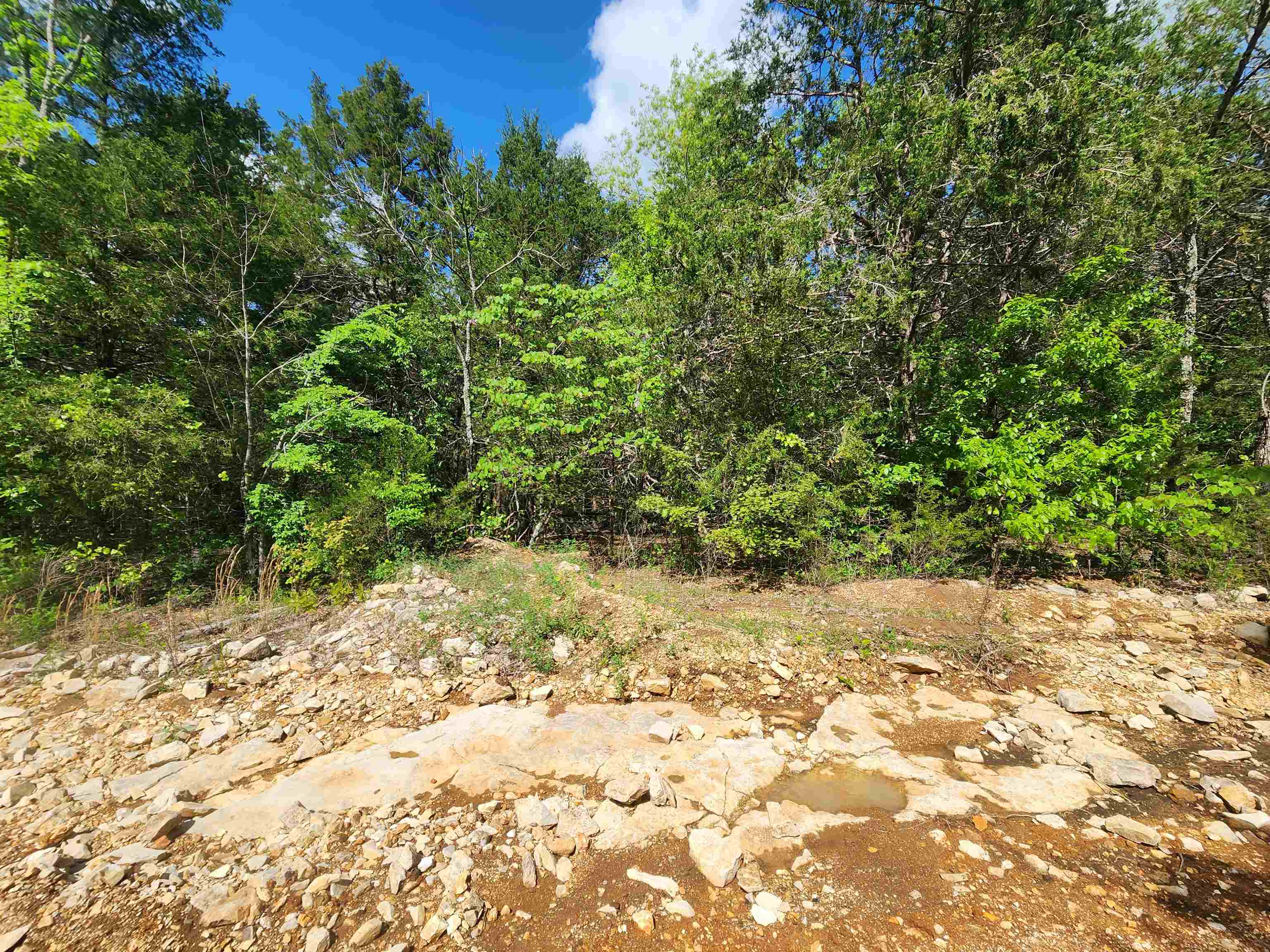 Wolf Hollow Unit 3 - Land