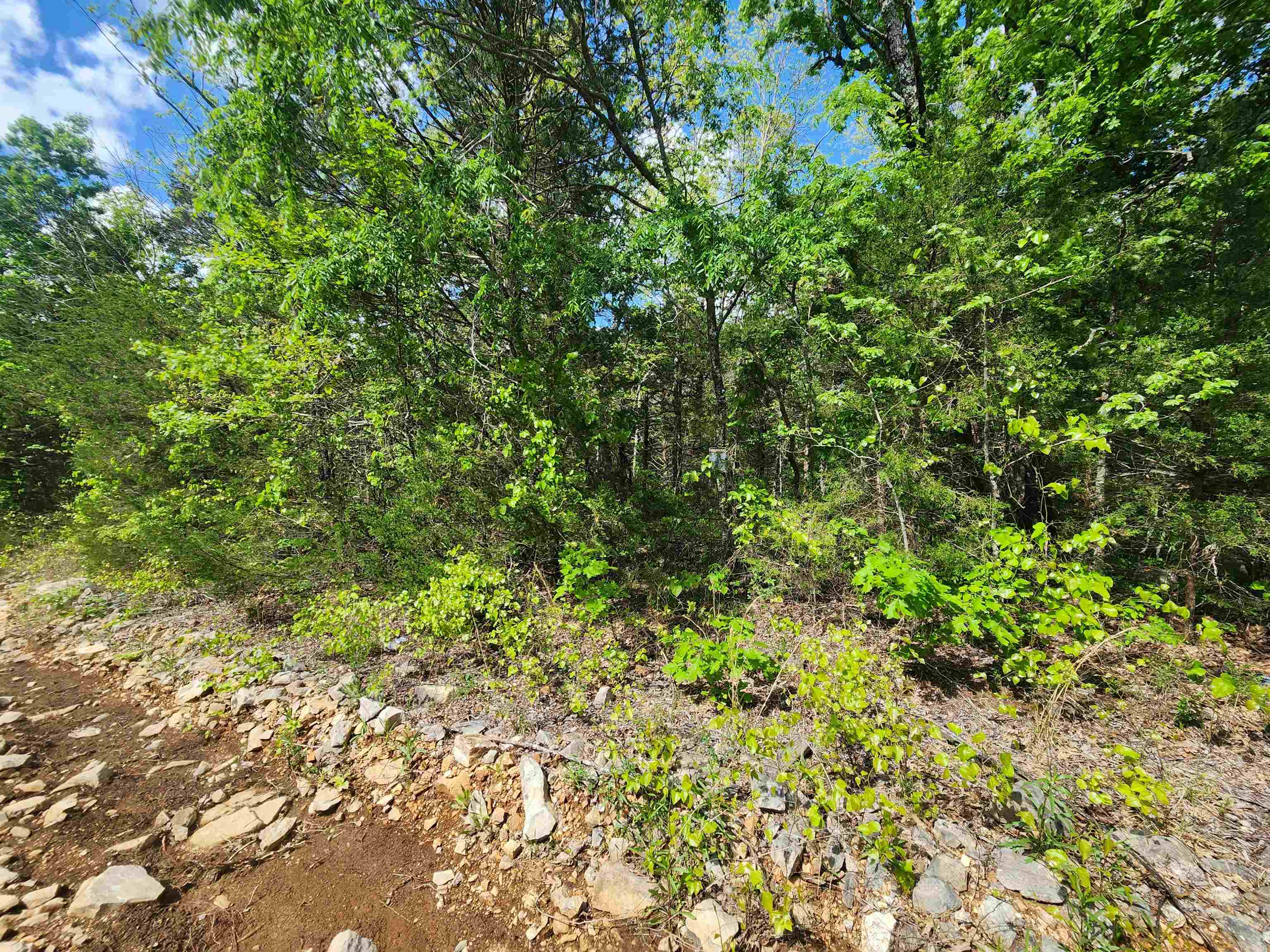 Wolf Hollow Unit 3 - Land