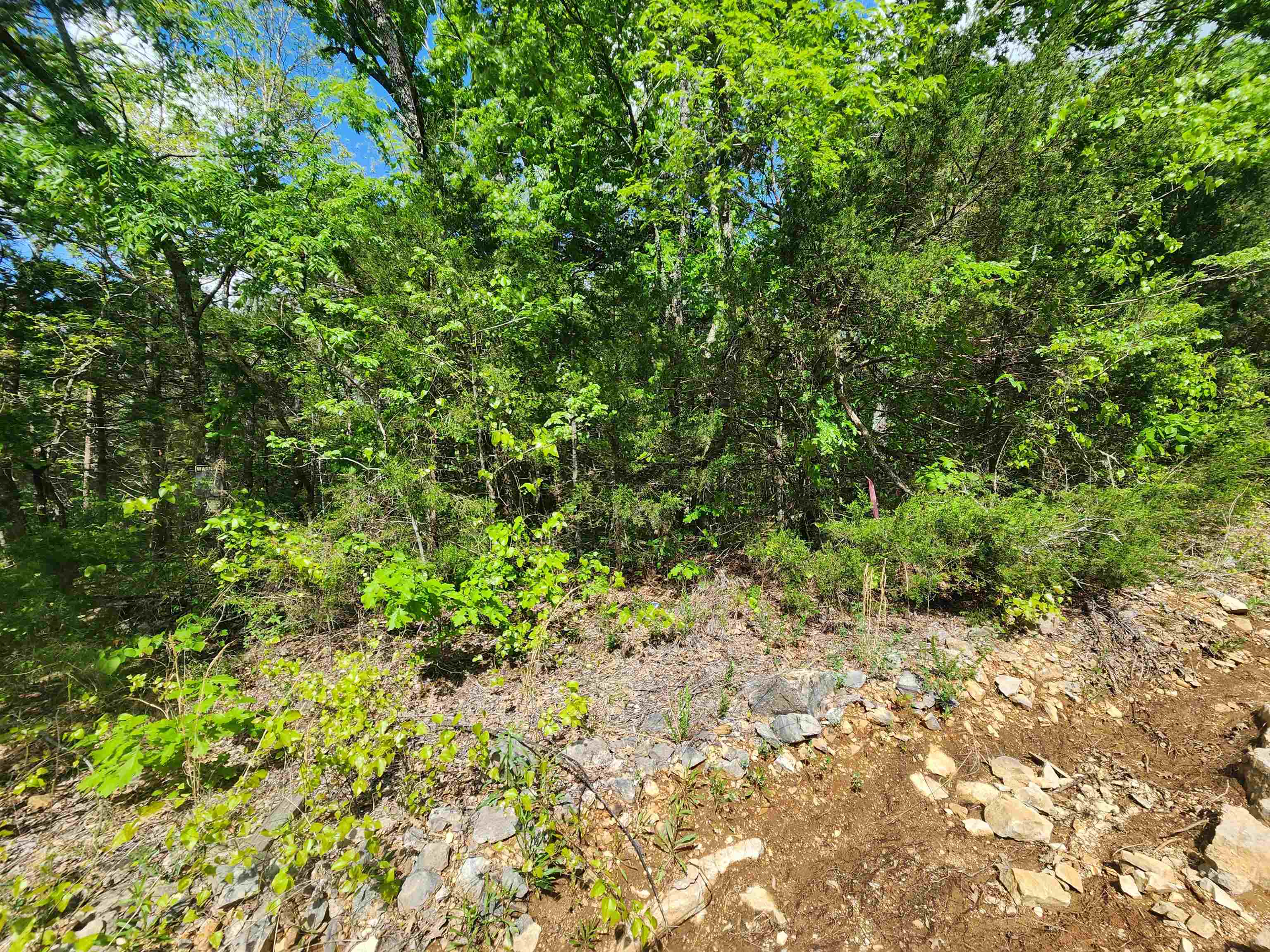 Wolf Hollow Unit 3 - Land