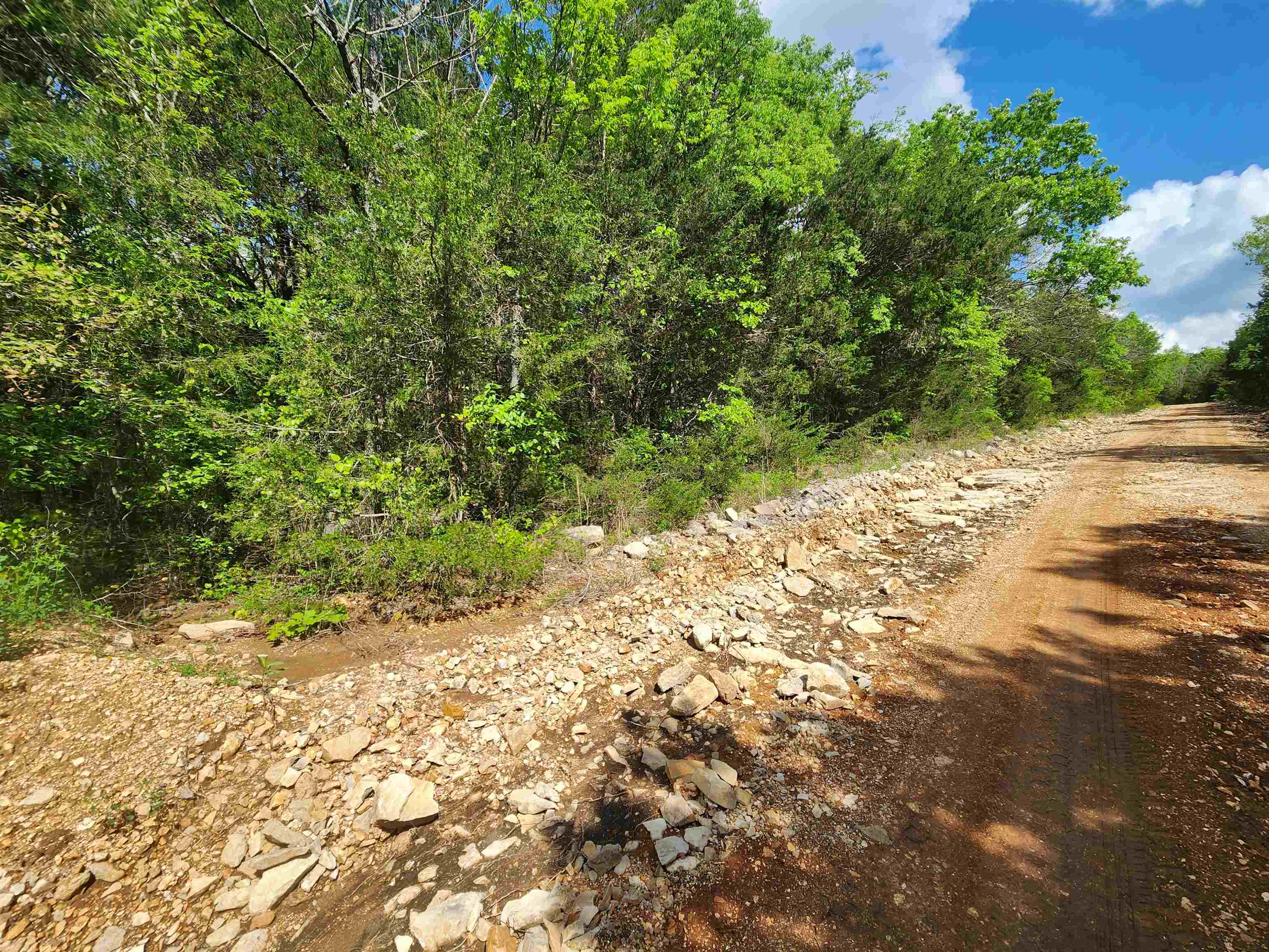 Wolf Hollow Unit 3 - Land