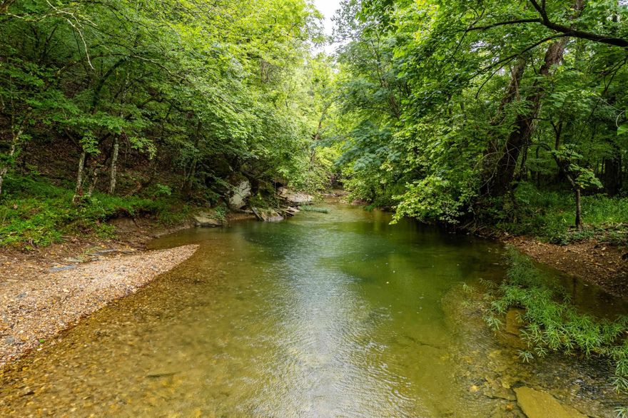 Escape to the peace and privacy of the backwoods with this 19+ acre wooded haven, perfect for nature lovers, off-grid dreamers, and anyone craving serious seclusion. Nestled deep in the countryside, this property offers the feel of total wilderness—while still having utilities nearby for future development. Ideal for a weekend cabin, hunting retreat, or your own rustic homestead. With no restrictions, you’ll have room to roam, build, or just enjoy the sounds of nature under a blanket of stars. Enjoy the best of both worlds: remote and wild, yet within reach of power and water access if you decide to build. Whether you’re looking to go off-grid or ease into country living with modern convenience, this property delivers unmatched potential. Private. Peaceful. Purely yours.