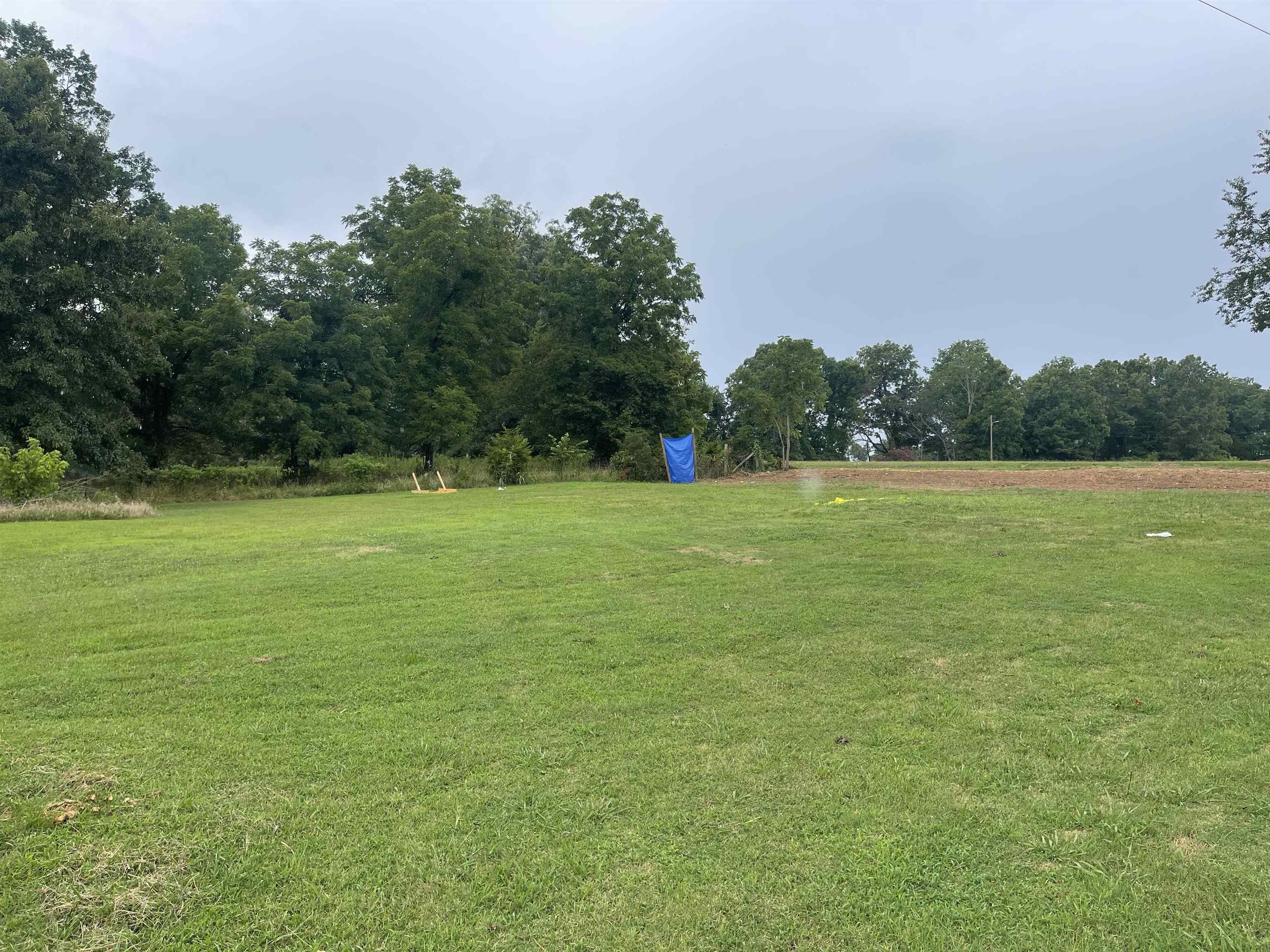 Ravenden Springs - Land