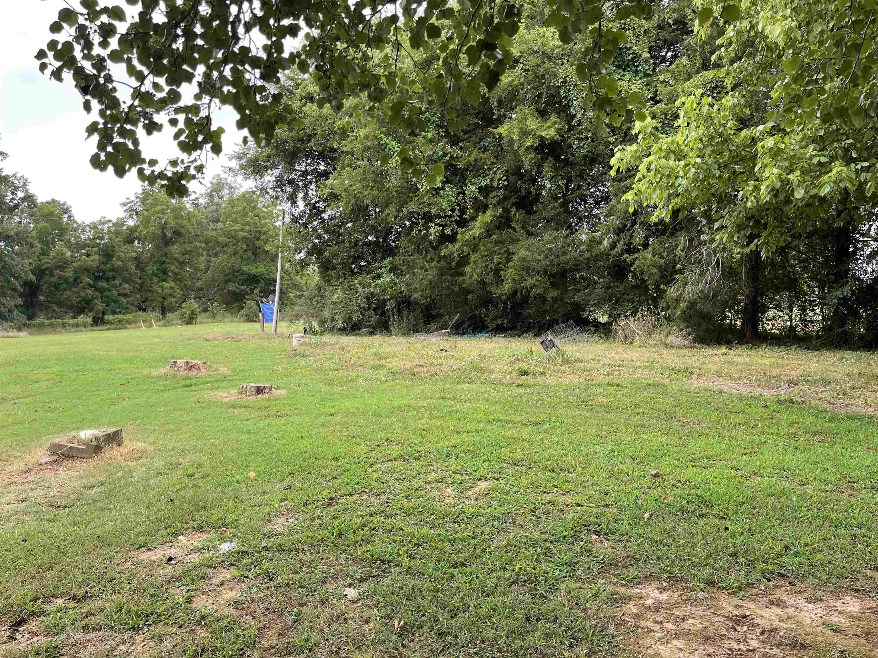 Ravenden Springs - Land