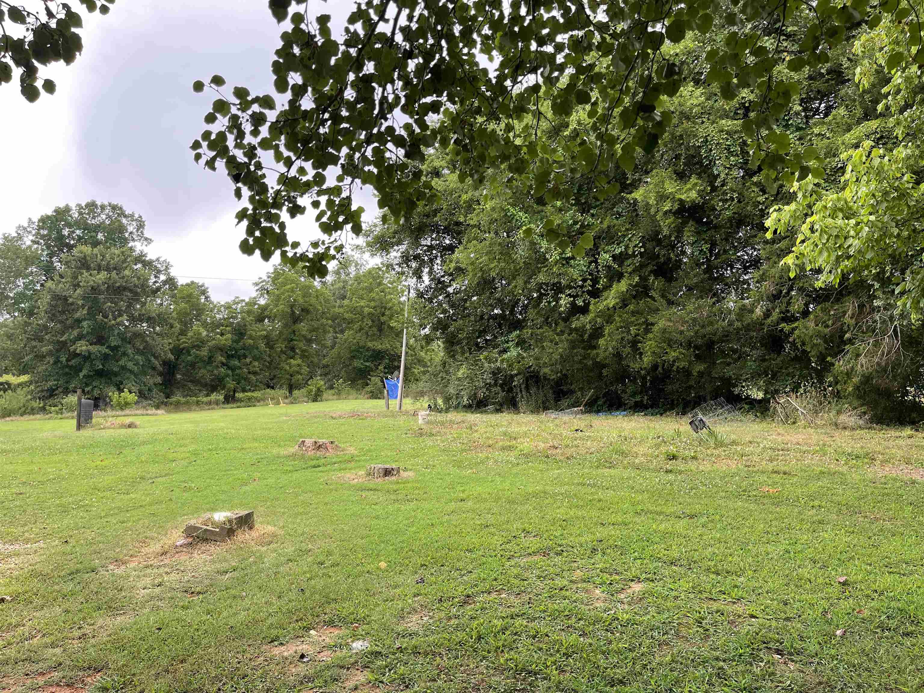 Ravenden Springs - Land