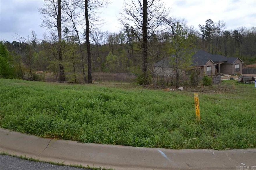 GREAT LOT, GREAT LOCATION, VERY CONVIENT TO EVERYTHING AT A GREAT PRICE!!