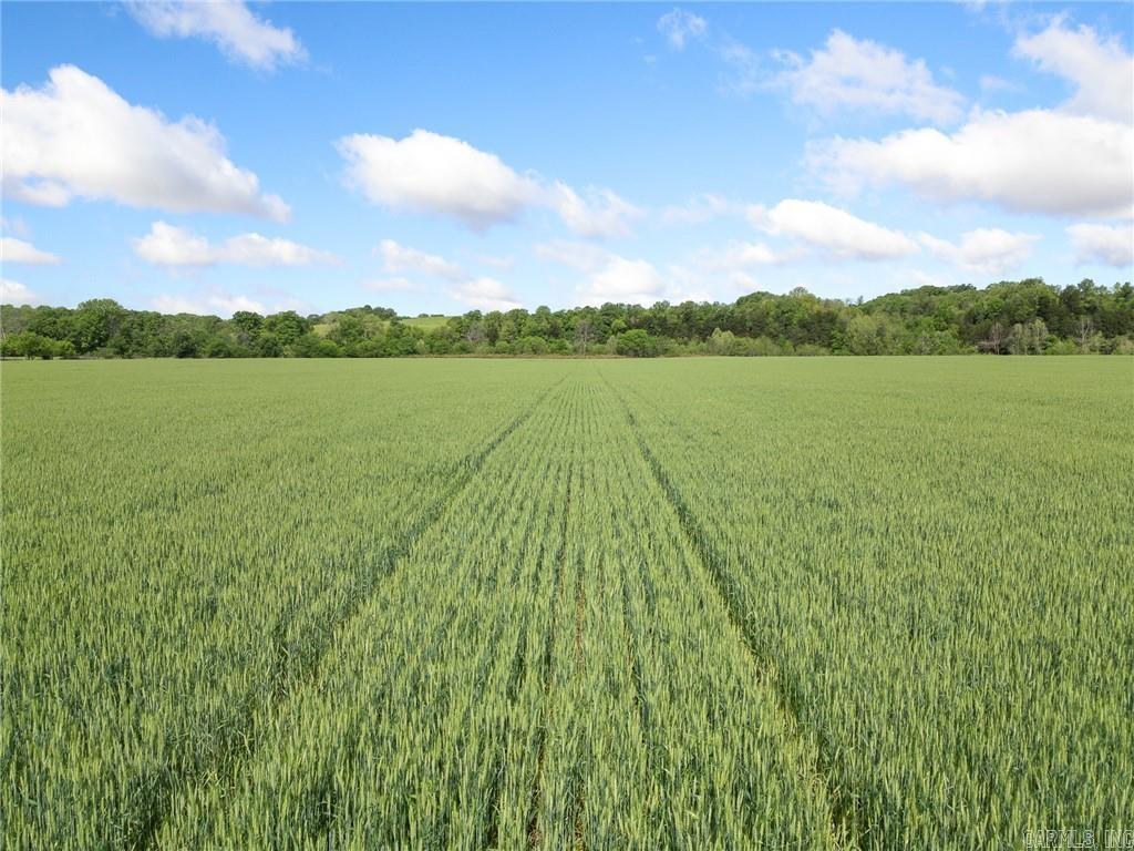 Metes & Bounds - Farm