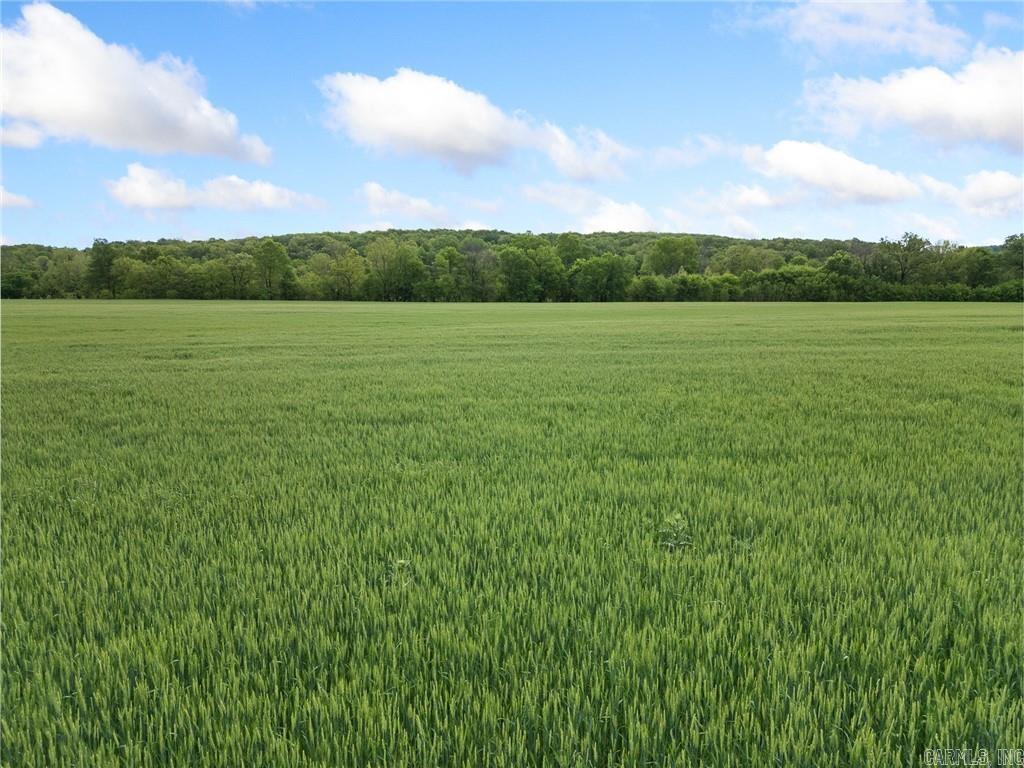 Metes & Bounds - Farm