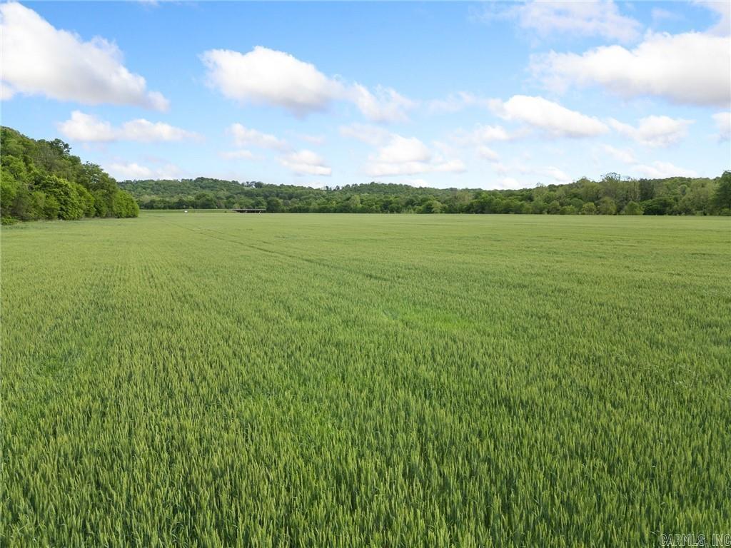 Metes & Bounds - Farm