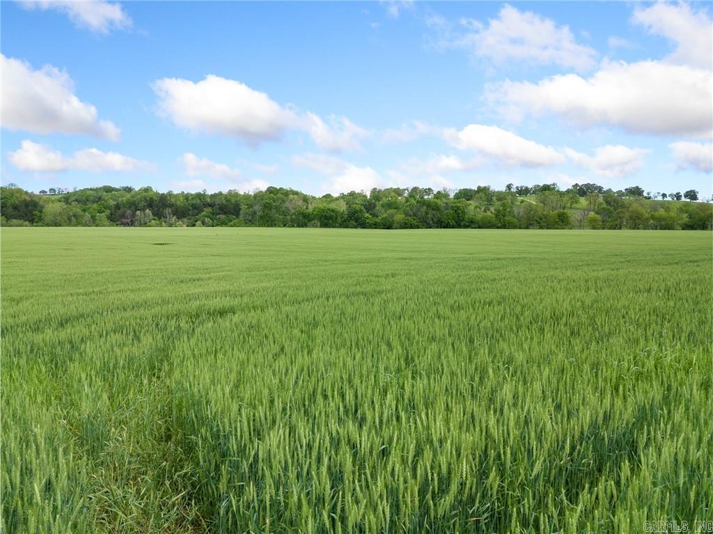 Metes & Bounds - Farm