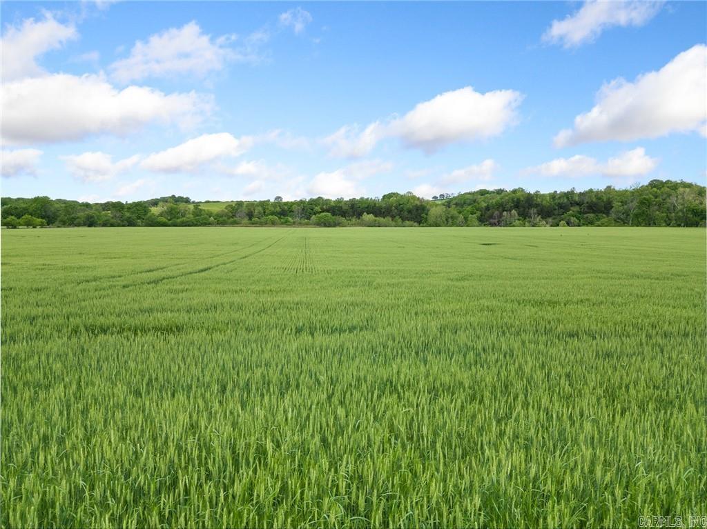 Metes & Bounds - Farm