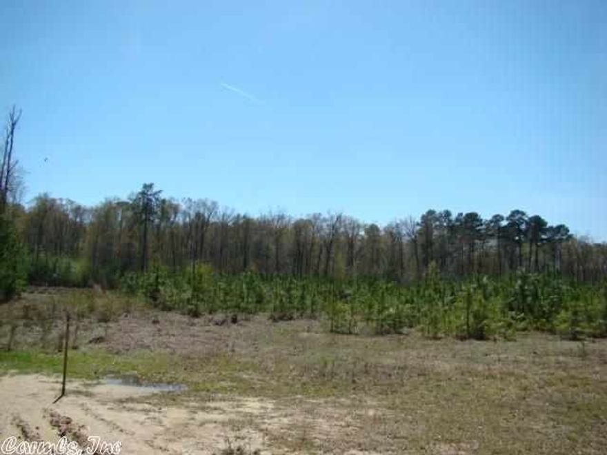 Multiple parcels containing 23.27 +/- wooded acres surveyed 5/6/2014 - close to the Arkadelphia Youth Sports Complex.  Can be accessed from the North on Flowers Road, and on the South by Herrin Drive.  Endless possibilities for this vacant land.  Call today for more information.