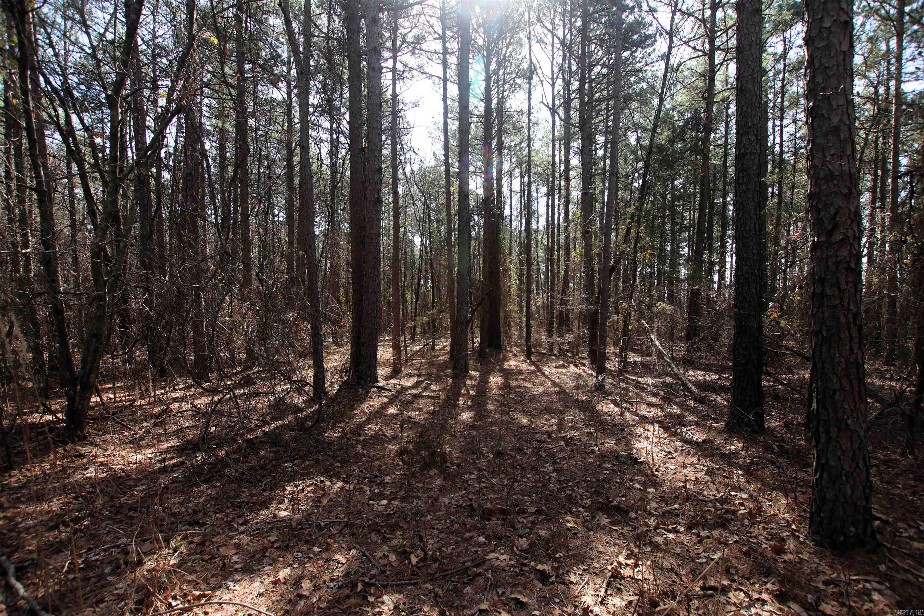 Not in Subdivision - Land