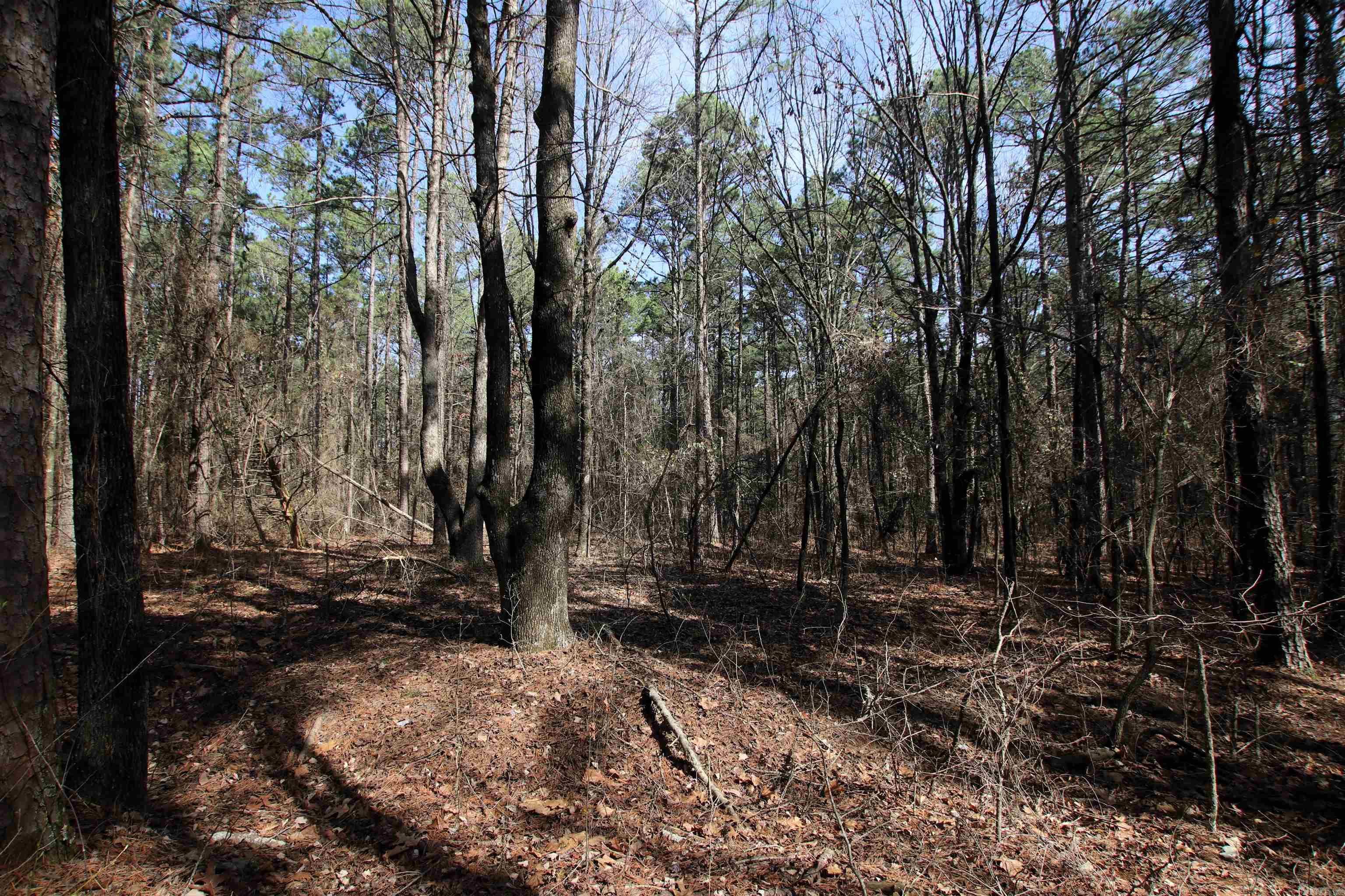 Not in Subdivision - Land