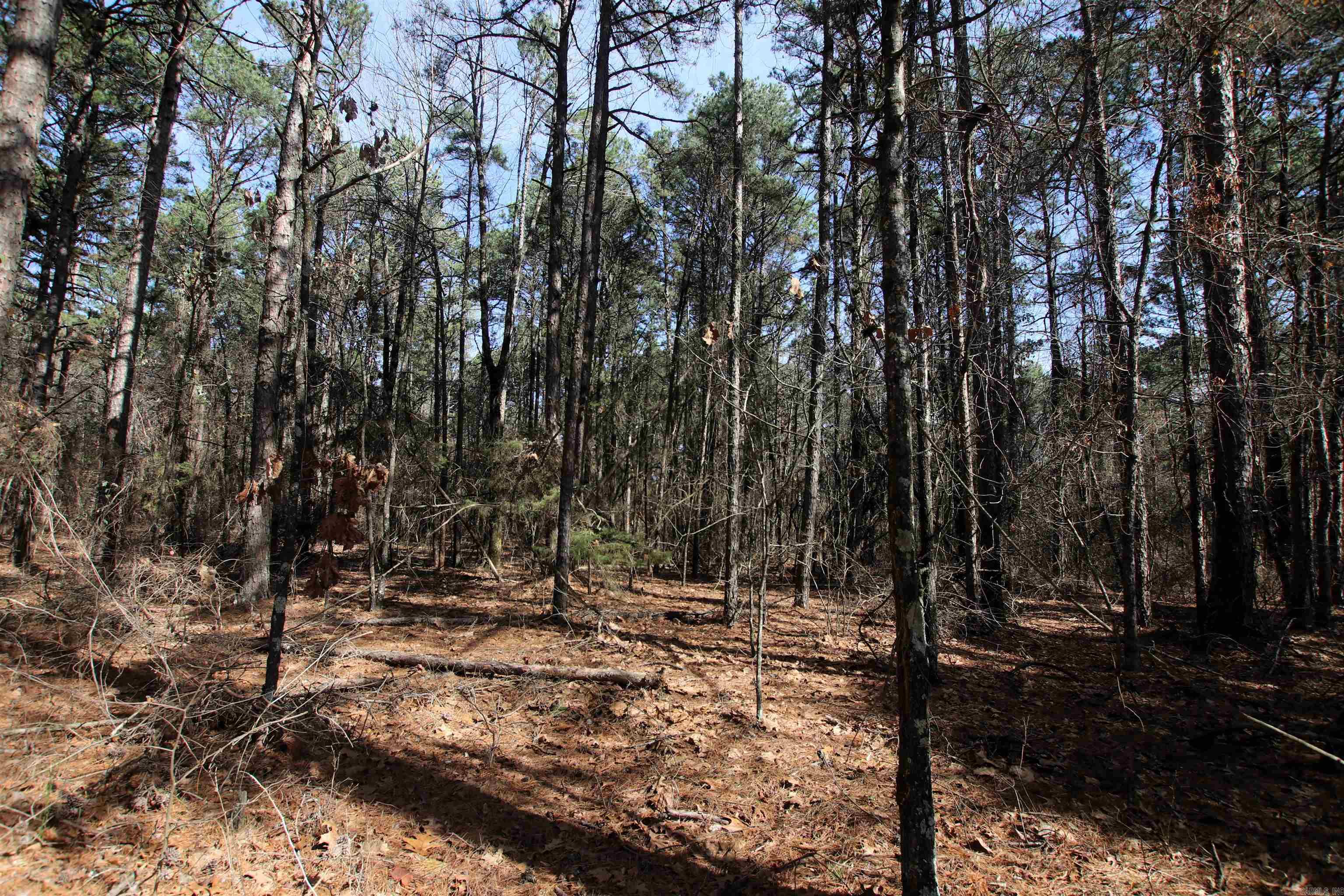 Not in Subdivision - Land