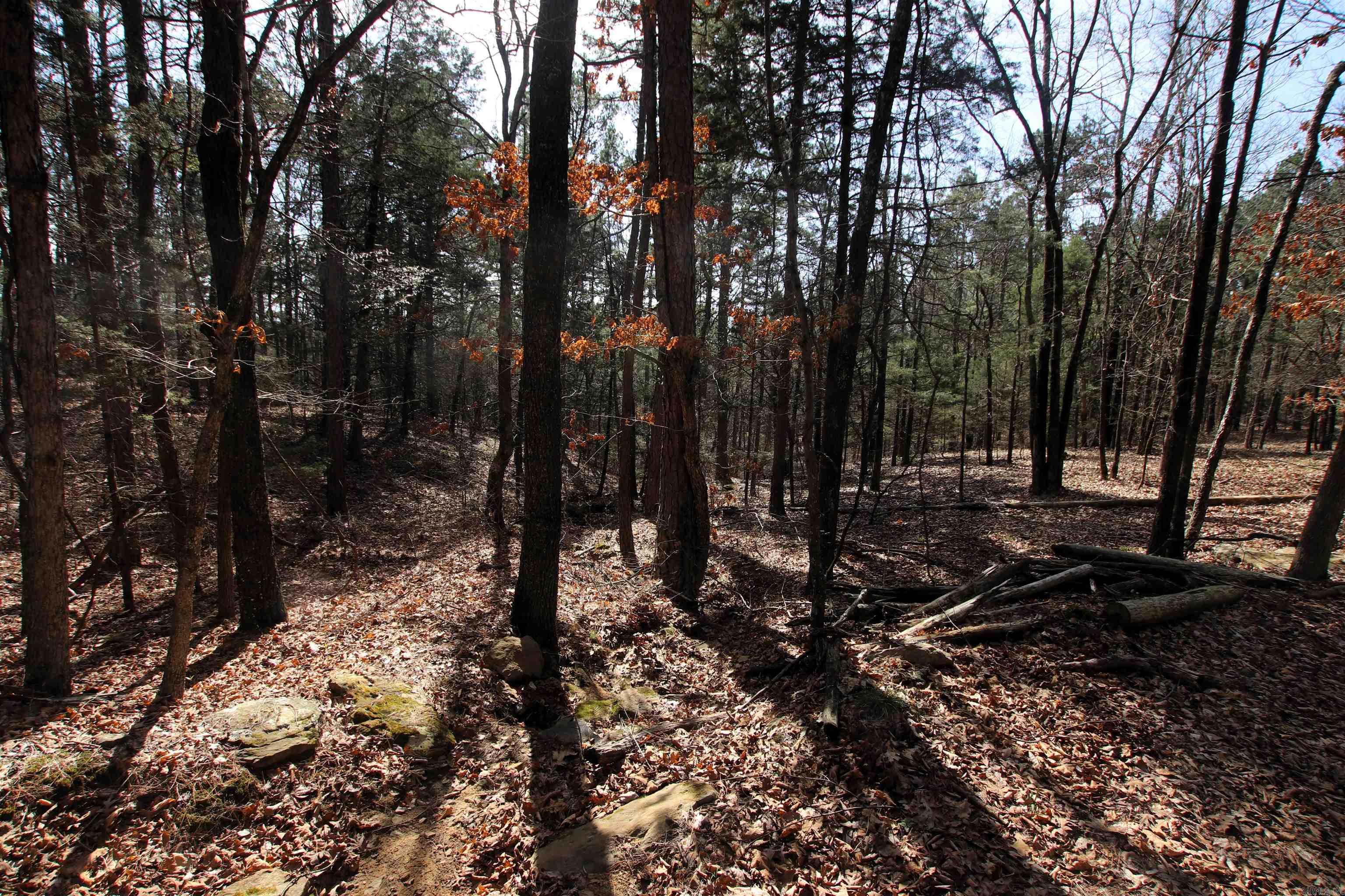 Not in Subdivision - Land