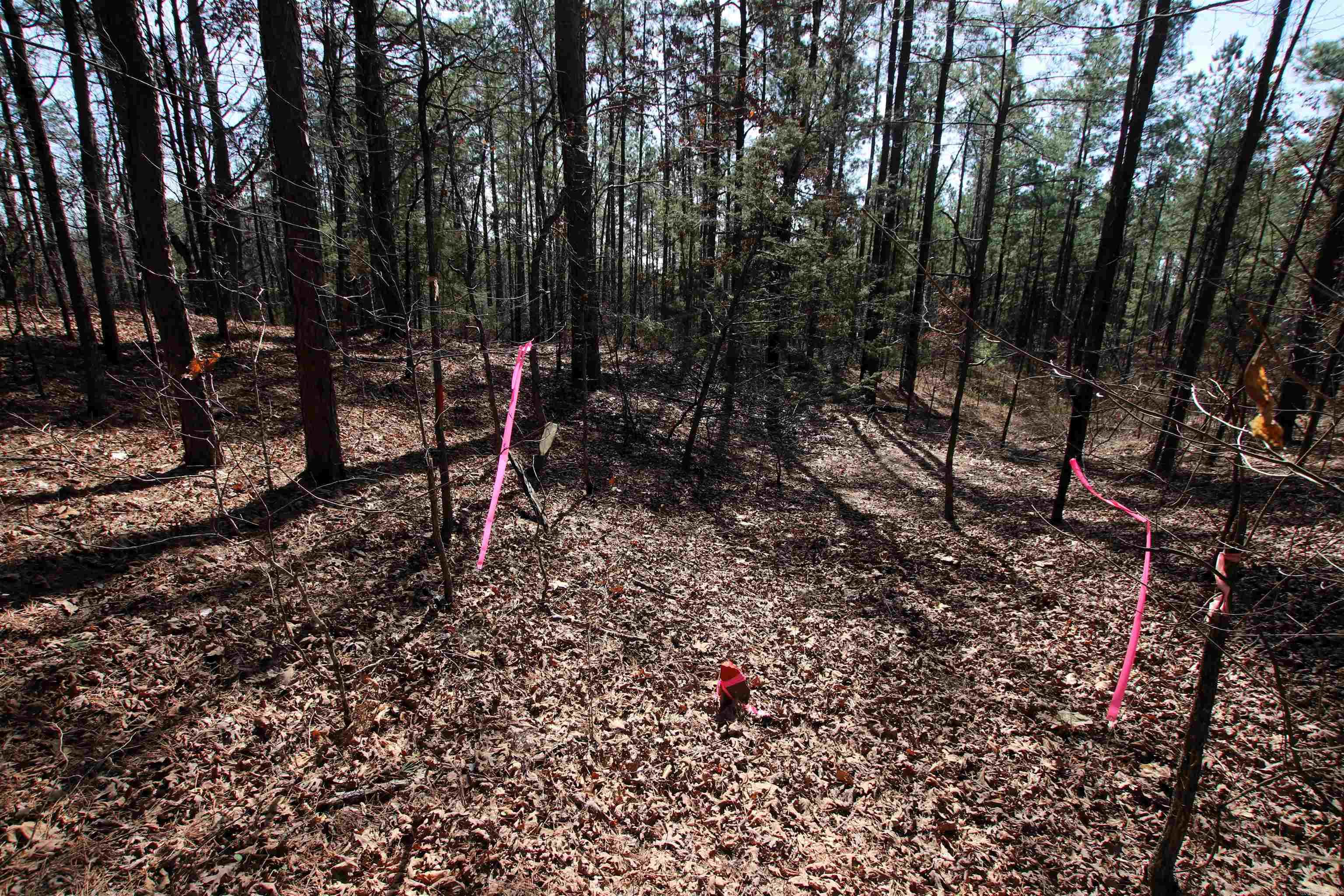 Not in Subdivision - Land