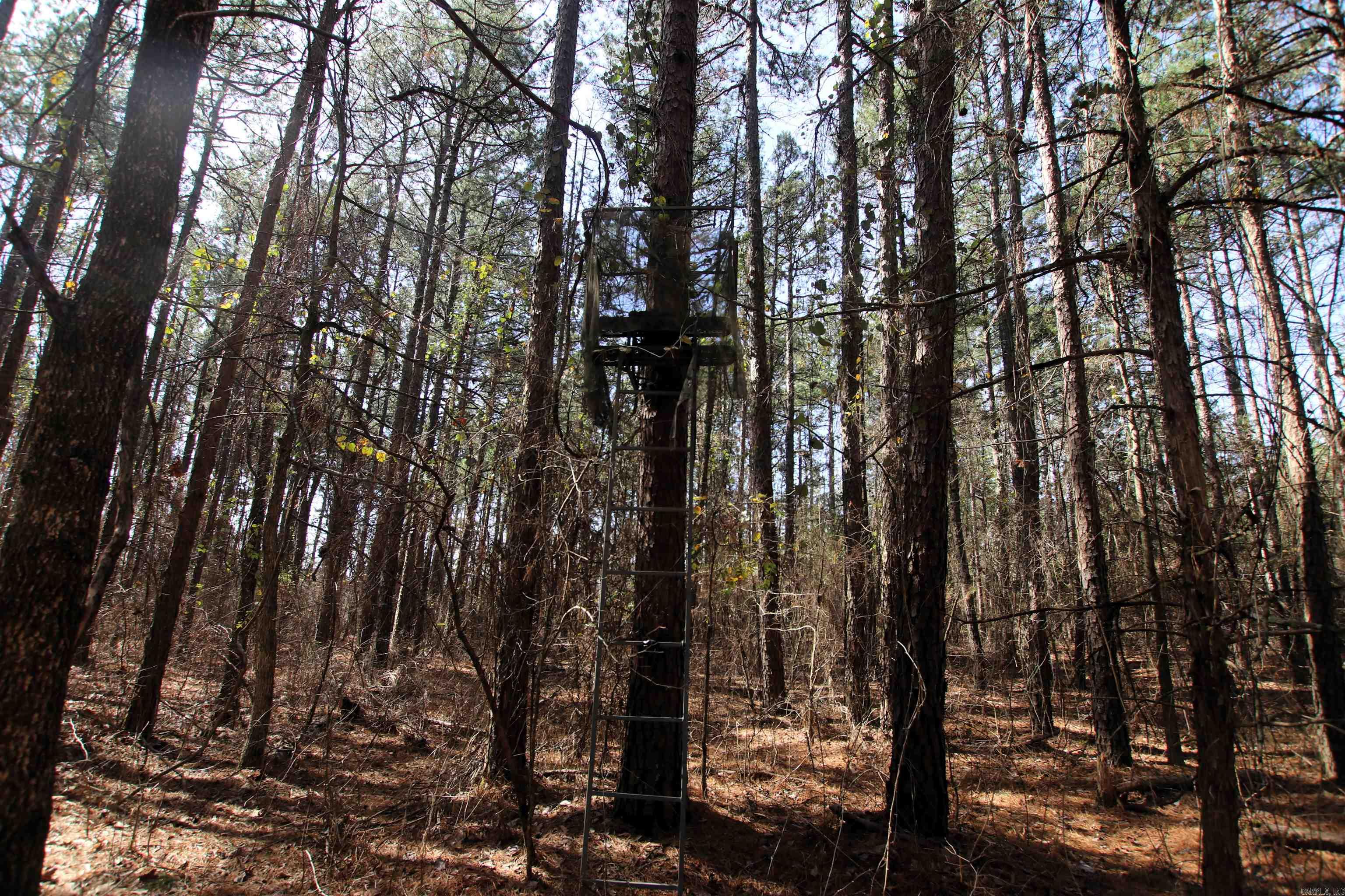 Not in Subdivision - Land