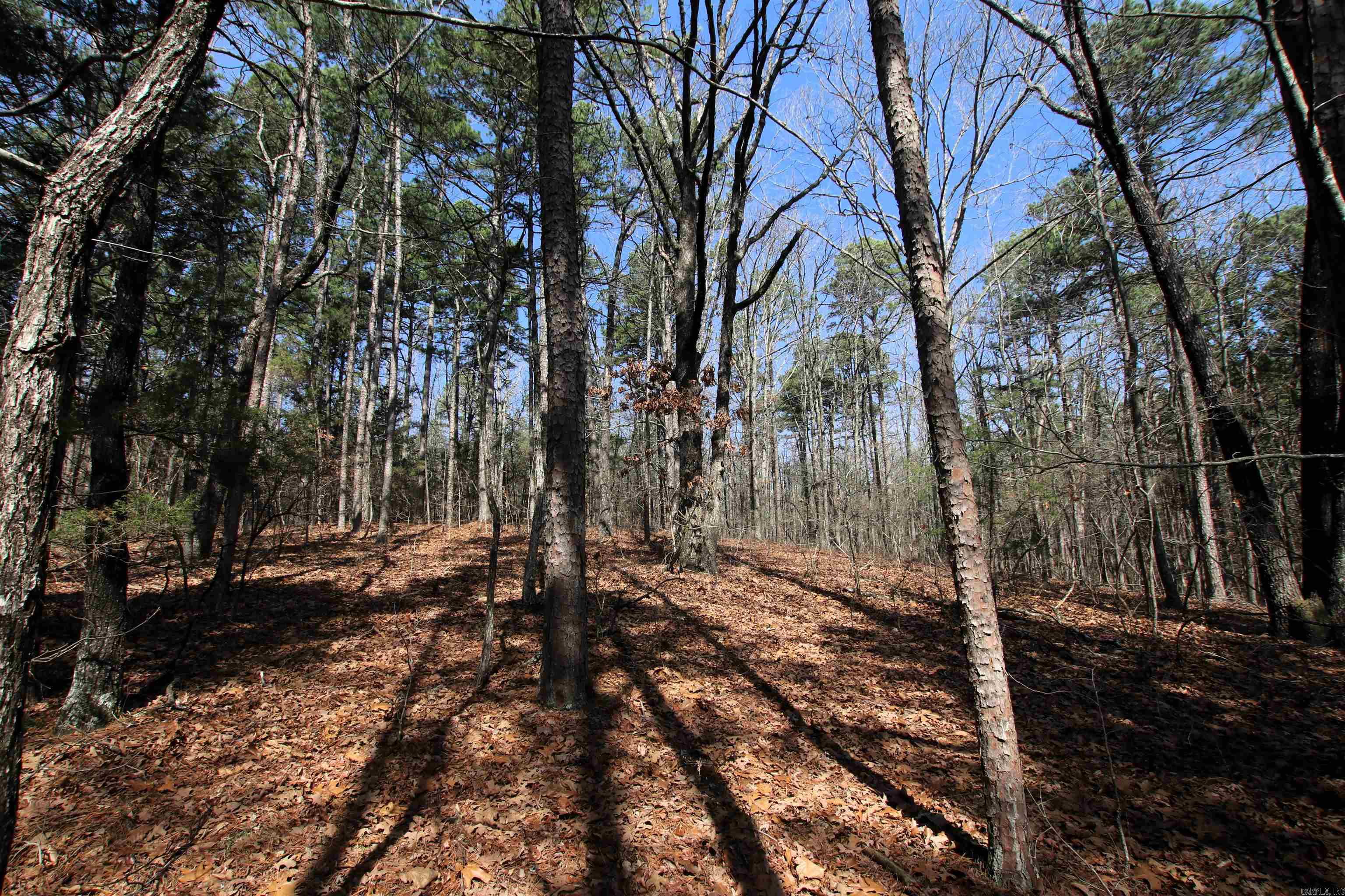 Not in Subdivision - Land