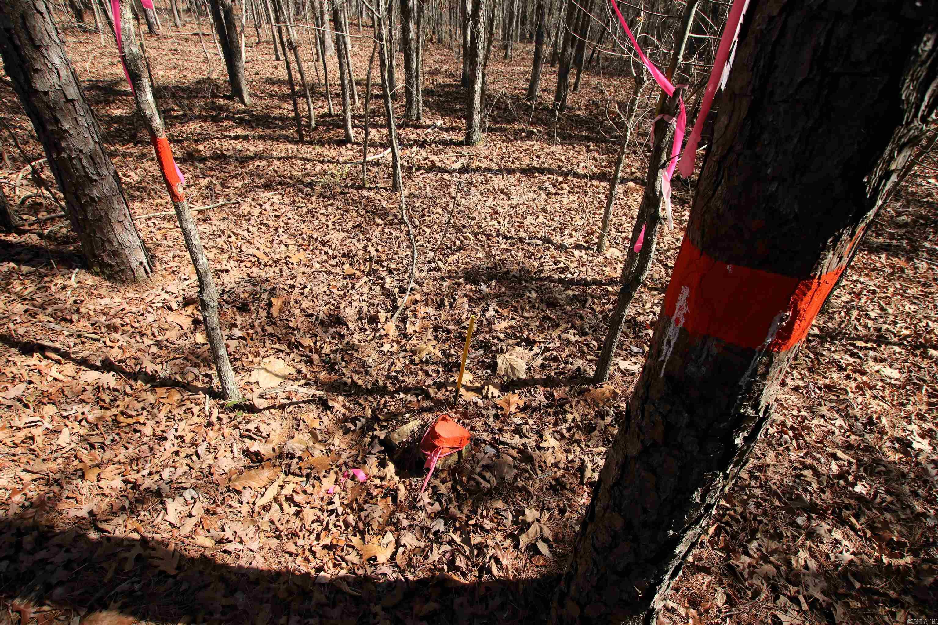 Not in Subdivision - Land