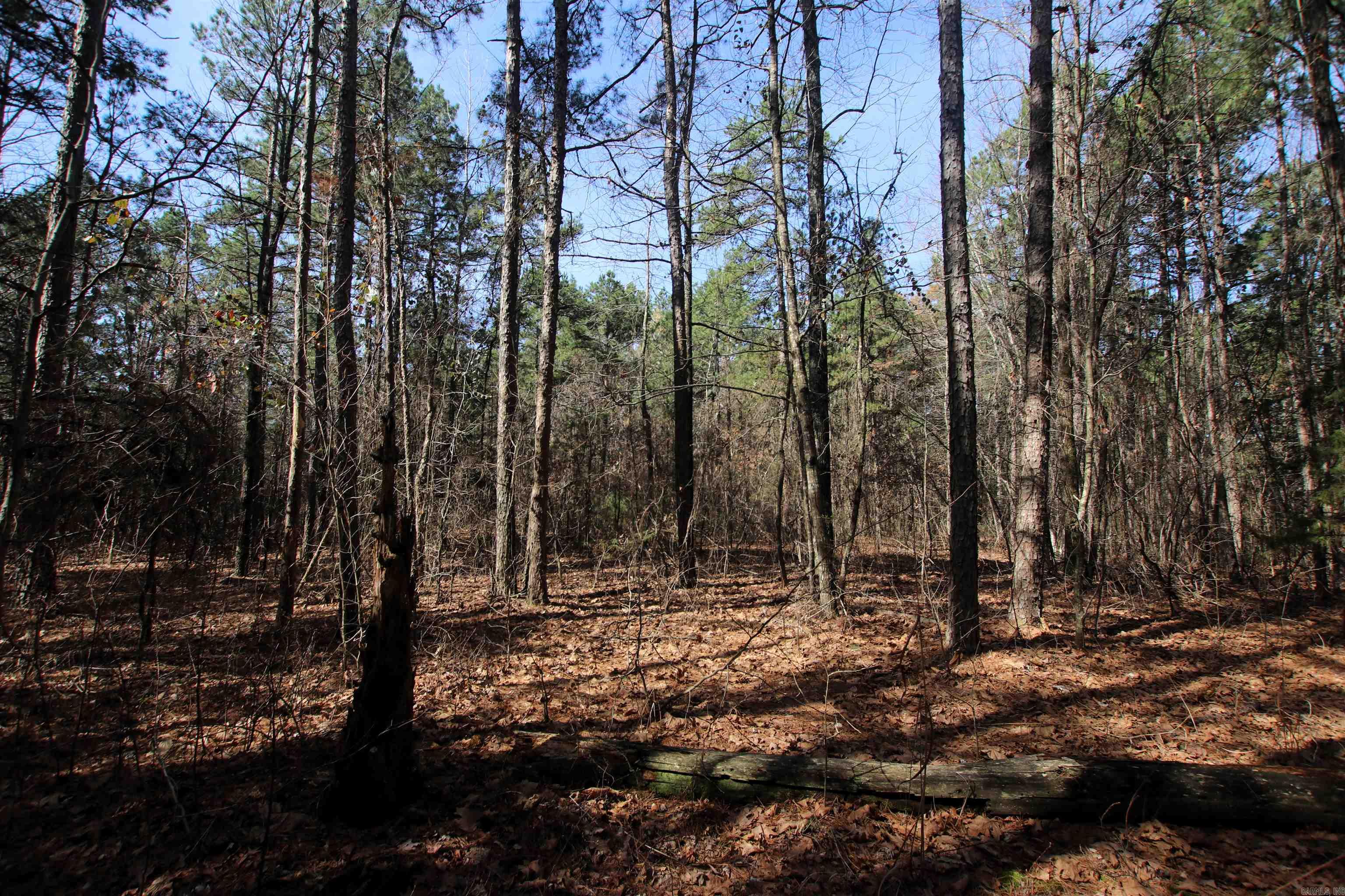 Not in Subdivision - Land