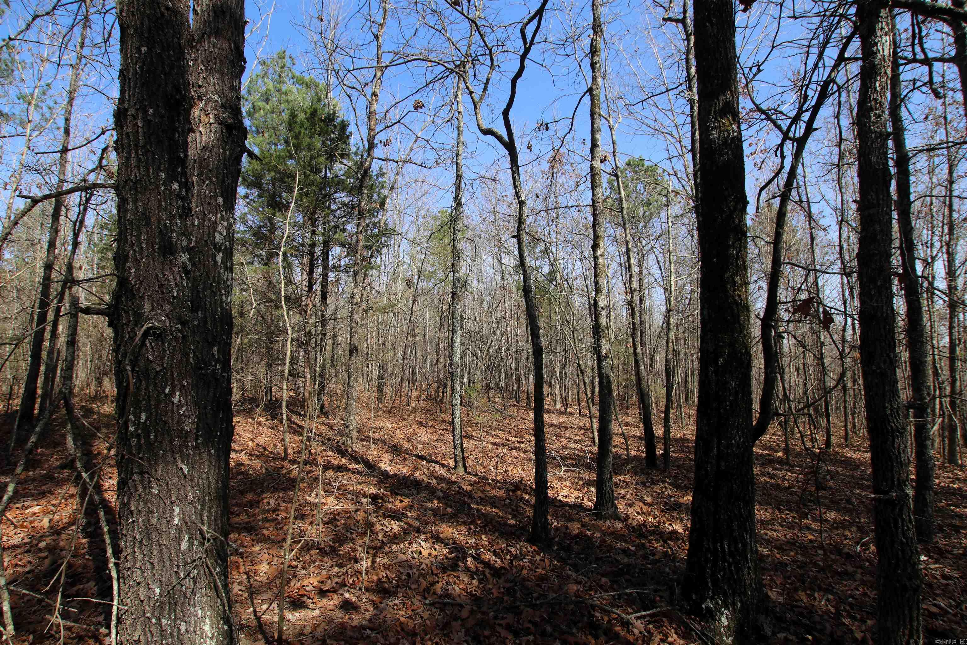 Not in Subdivision - Land