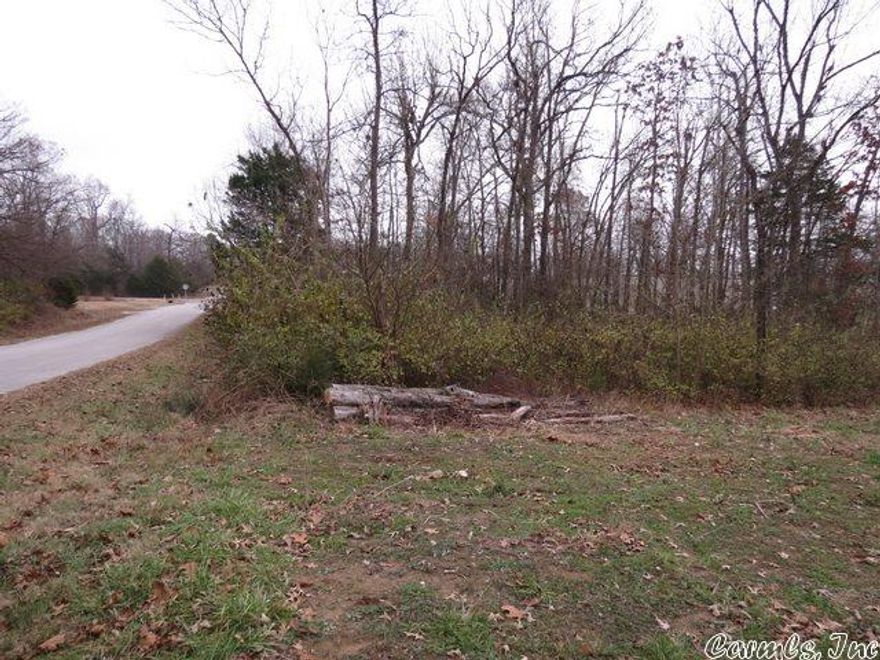 Looking for the perfect place near Bull Shoals Lake and the White River? This cleared lot in Bull Shoals could be exactly what you're looking for. Nestled within city limits, the property offers a convenient location with easy access to outdoor recreation, fishing, and boating. With the land already cleared, it’s ready for you to build the home you've always dreamed of. Whether you're planning a full-time residence or a weekend getaway, this spot has the potential to be your ideal retreat. Priced at just $11,000, it’s an affordable opportunity to own a piece of this scenic area. Come take a look and see if this is the right fit for your future plans!