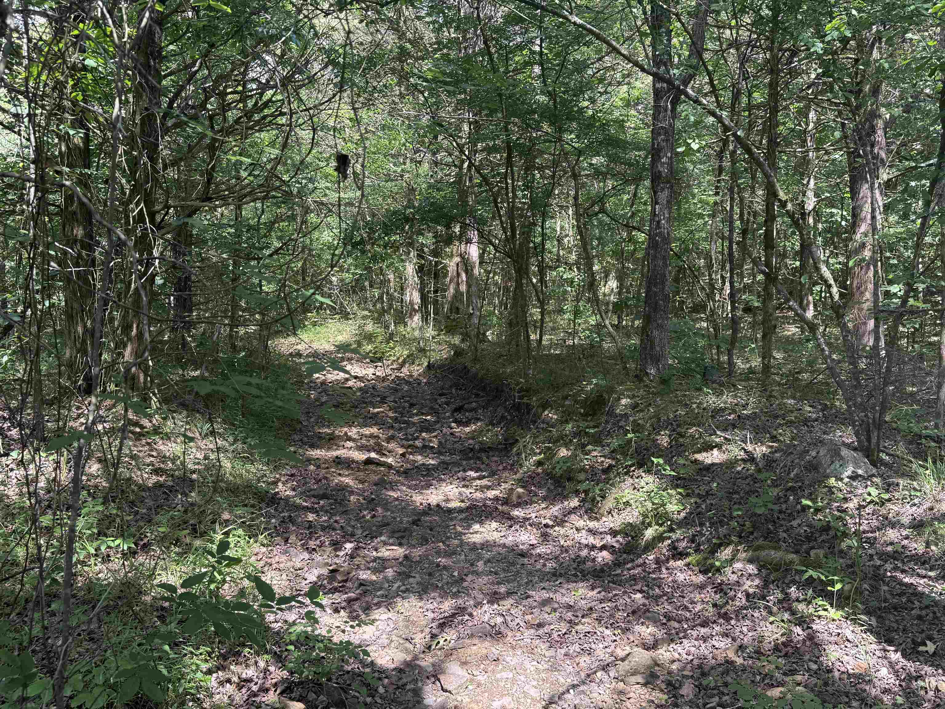 BELL FOLEY ESTATES - Land