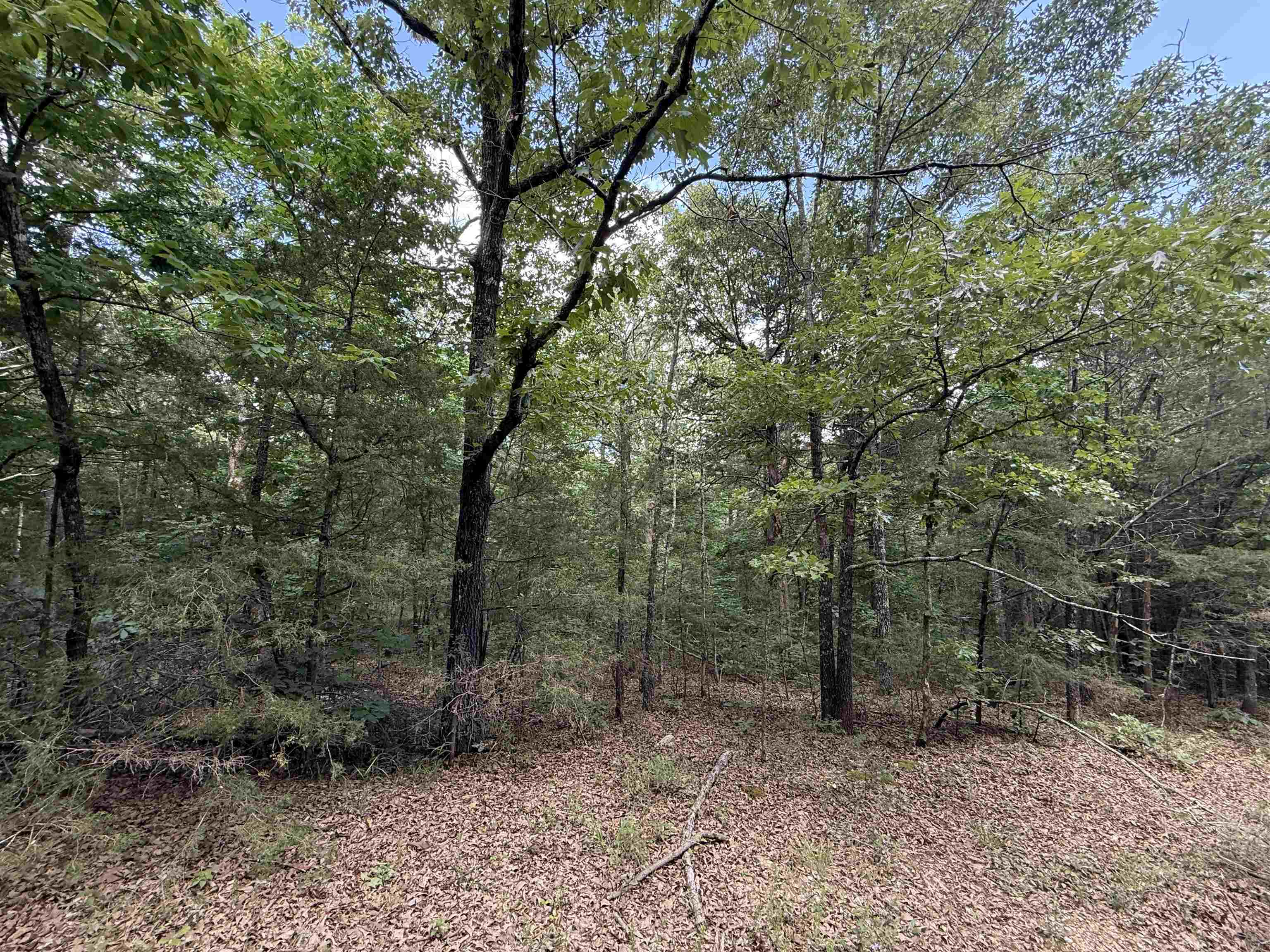 BELL FOLEY ESTATES - Land