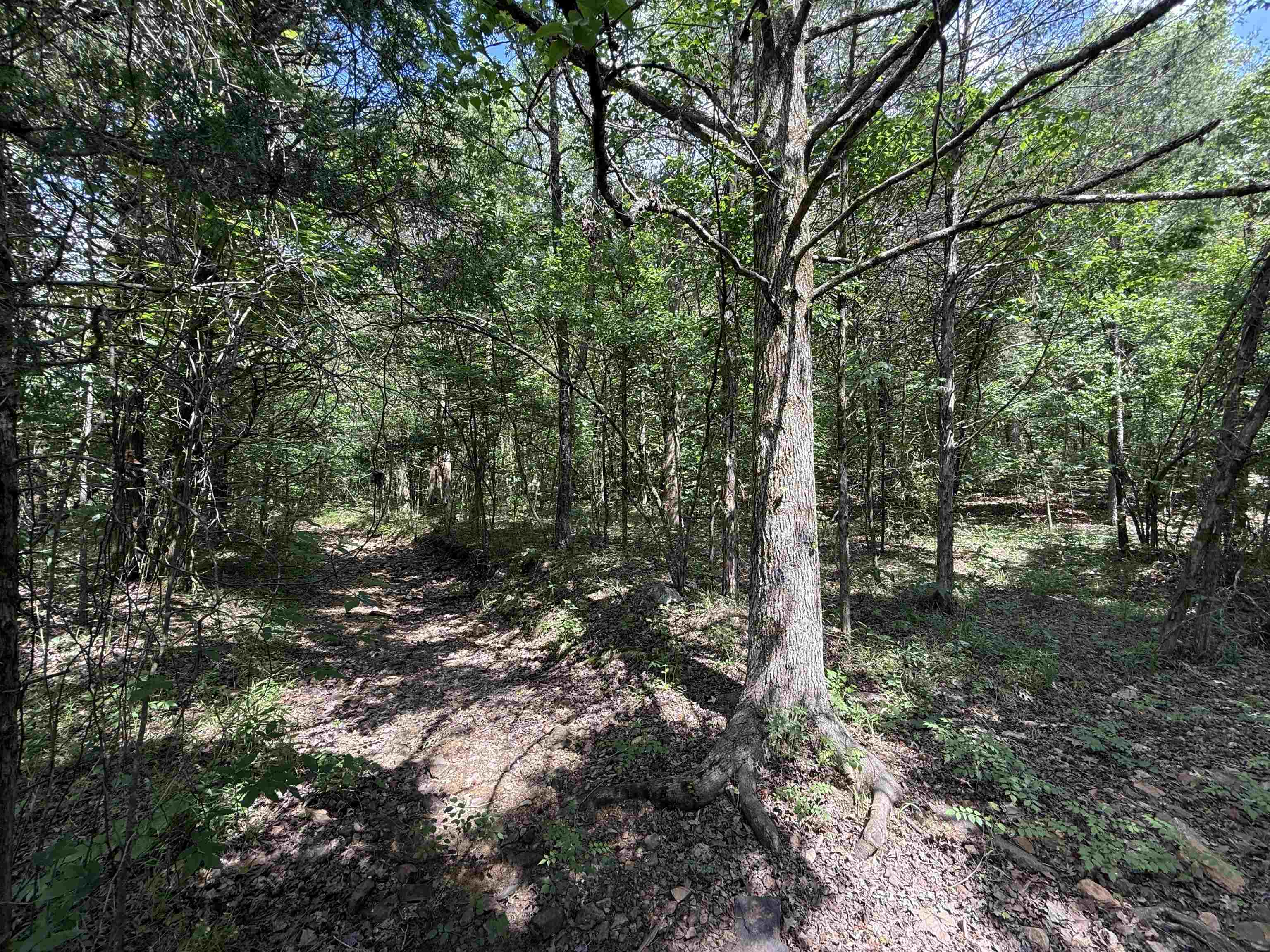 BELL FOLEY ESTATES - Land