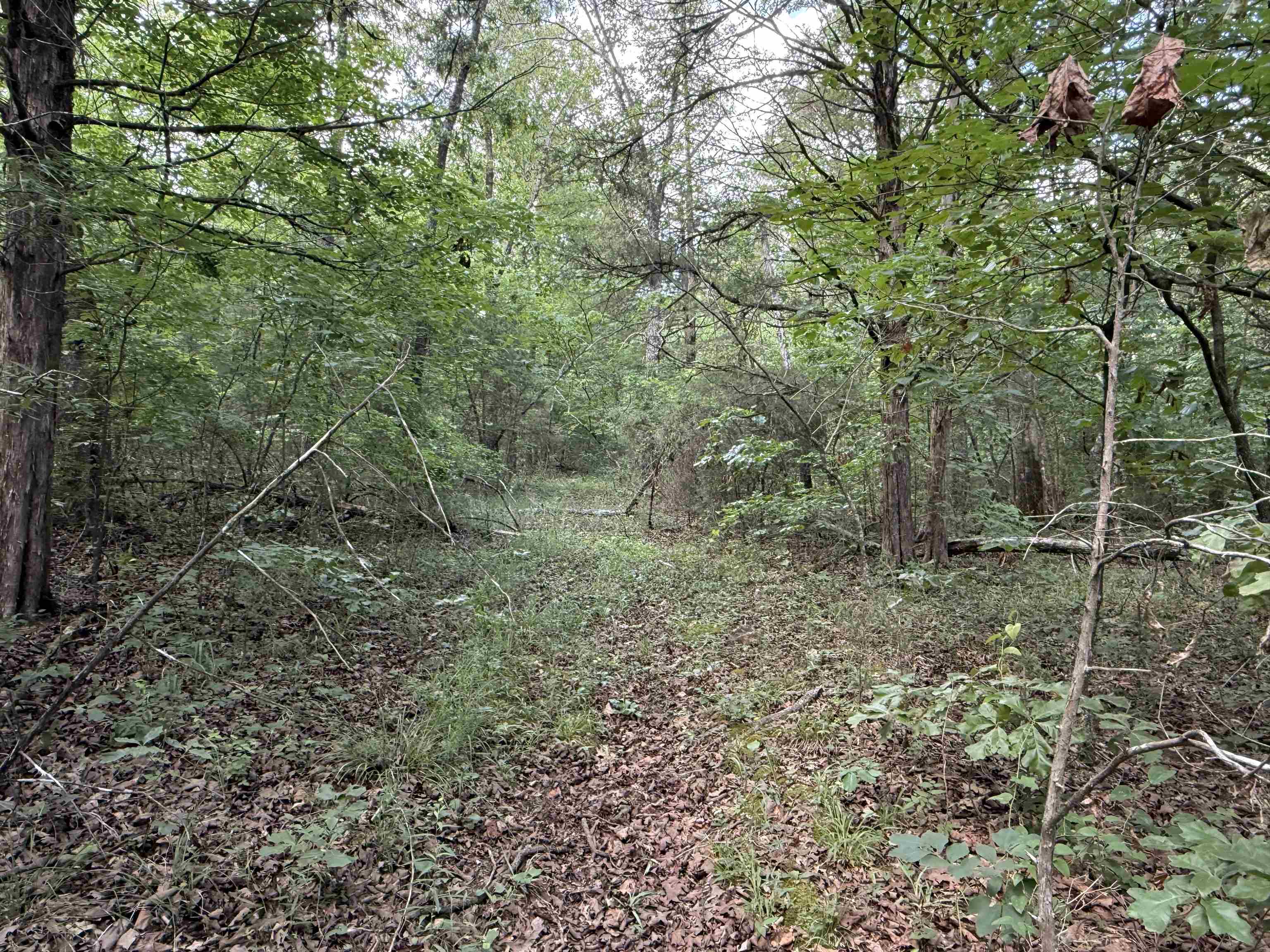 BELL FOLEY ESTATES - Land