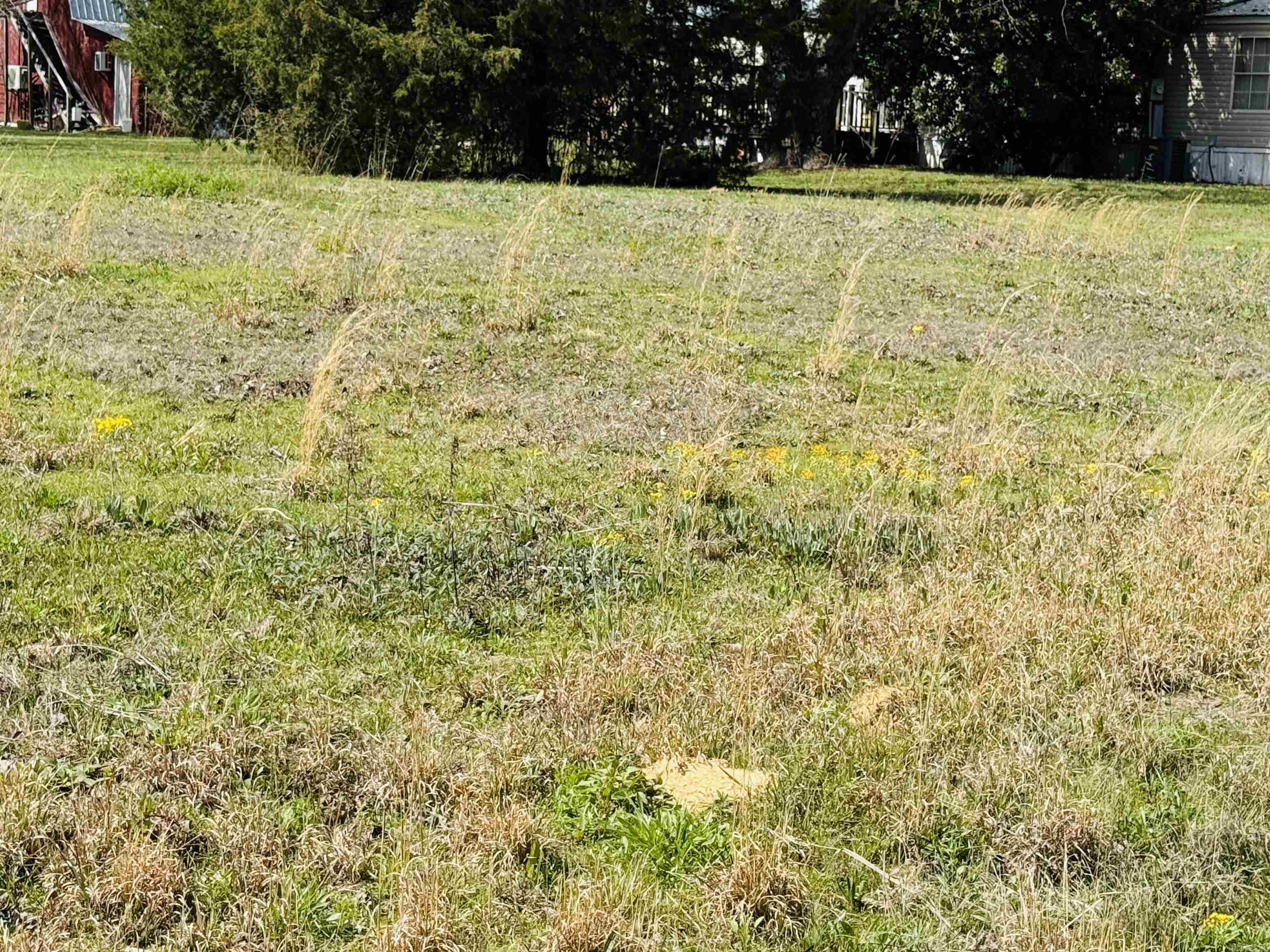 Gold Lake Estates - Land