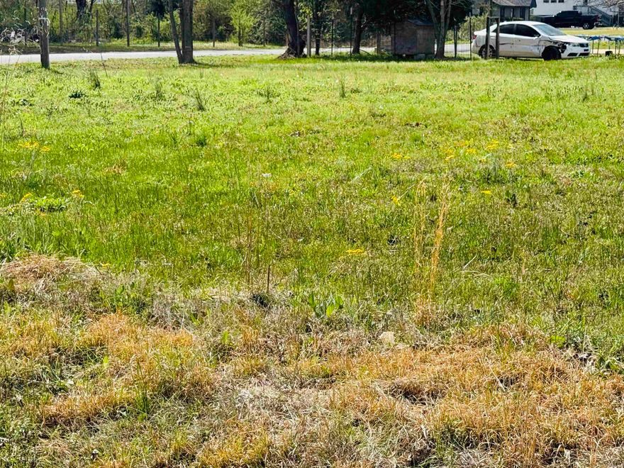 Great lot all cleared.