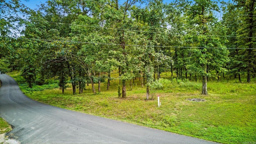 Lot H1 on Charlie Stover offers 1.88 acres of land in beautiful Garland County—an ideal canvas for your dream home, weekend retreat, or investment property. With utilities available nearby, the groundwork is set for a smooth building process. The generous size of the lot provides space for privacy, outdoor living, or even future expansion, while still keeping you close to the natural beauty of Lake Hamilton and the conveniences of Hot Springs. Opportunities like this are limited—come see the potential this property holds.