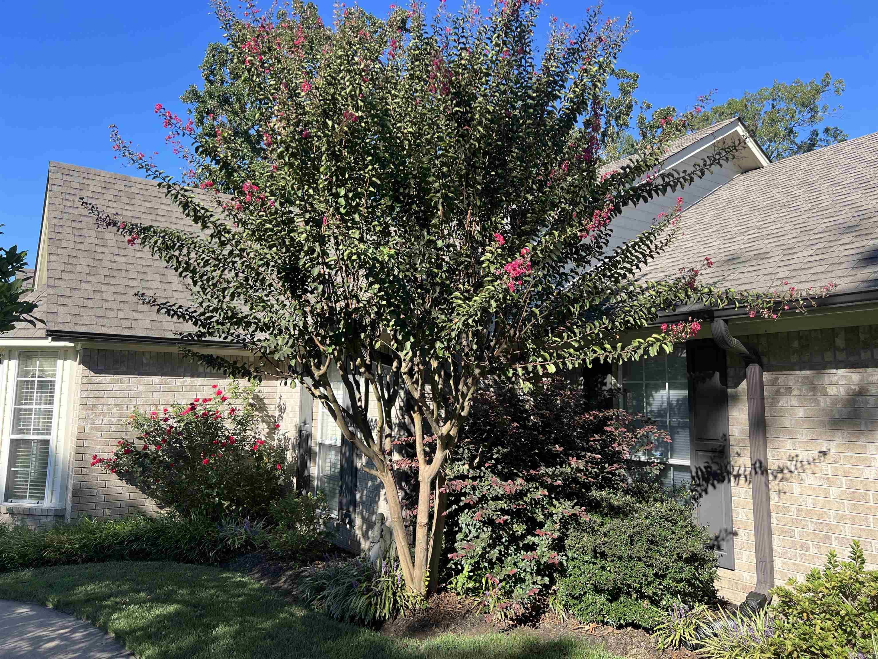CARGILLS - Residential