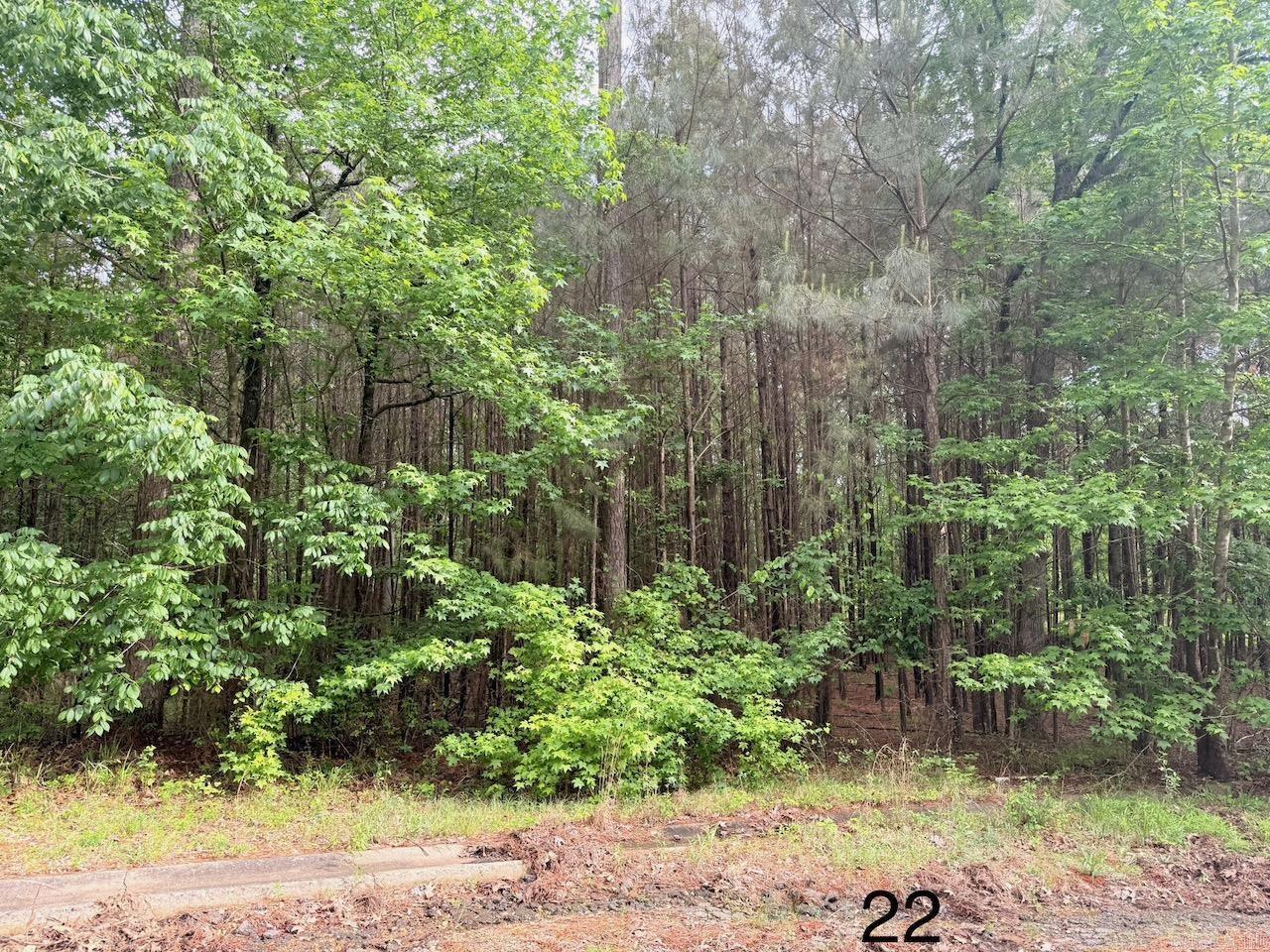 Discover the perfect spot to build your dream home in the desirable University Heights Subdivision! This .37-acre lot offers a serene setting in a quiet neighborhood, just minutes from the University of Arkansas at Monticello, local schools, hospitals, and shopping. With utilities readily available and a prime location, this lot is ideal for families, professionals, or investors. Priced to sell—don’t miss this opportunity to create your custom oasis in the heart of Monticello! Contact us today for details.
