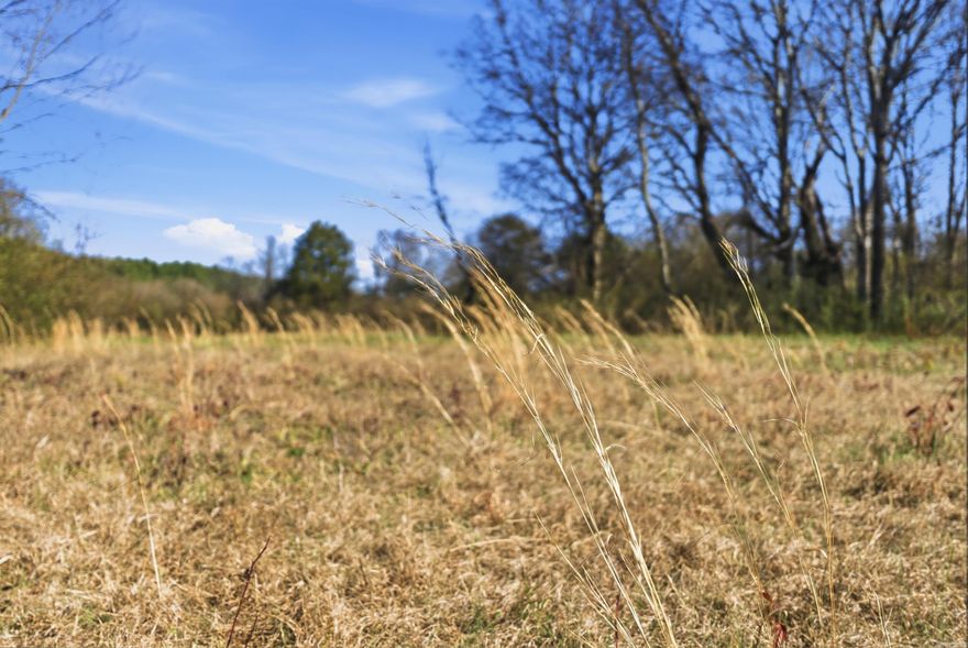 Escape to your own retreat! This beautiful 2.5 acre property is partially fenced and offers the quiet, private setting you've been searching for. Perfect for a custom home, hobby farm, or weekend getaway! bring your vision and make it yours! 1500 sq ft min.