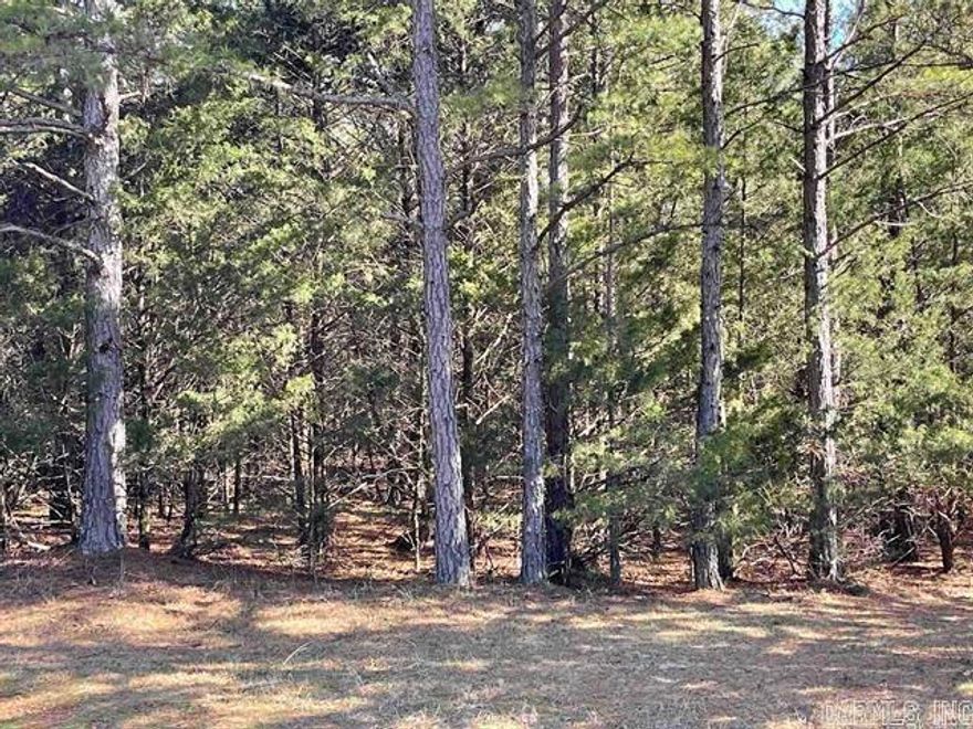 Welcome to your own slice of paradise in beautiful Fairfield Bay, Arkansas! This  lot offers the perfect opportunity to build your dream home in one of the most desirable locations in the state, with access to a wealth of amenities.  Just minutes away from stunning Greers Ferry Lake. Whether you're an avid fisherman, boater, or simply enjoy relaxing by the water, this location has something for everyone. But that's not all Fairfield Bay also offers a wide range of amenities to its residents, including 3 swimming pools, 2 18-hole golf courses, hiking and biking trails, ATV/UTV trails, pickleball and tennis courts, and a full-service marina. Whether you're looking for outdoor adventure, a friendly game of tennis, or a relaxing day by the pool, Fairfield Bay has you covered as well as any additional amenities you desire. With easy access to utilities and services, including water, sewer, and electricity, you'll have everything you need to make your dream a reality.  Buyer to pay all closing costs and title insurance.