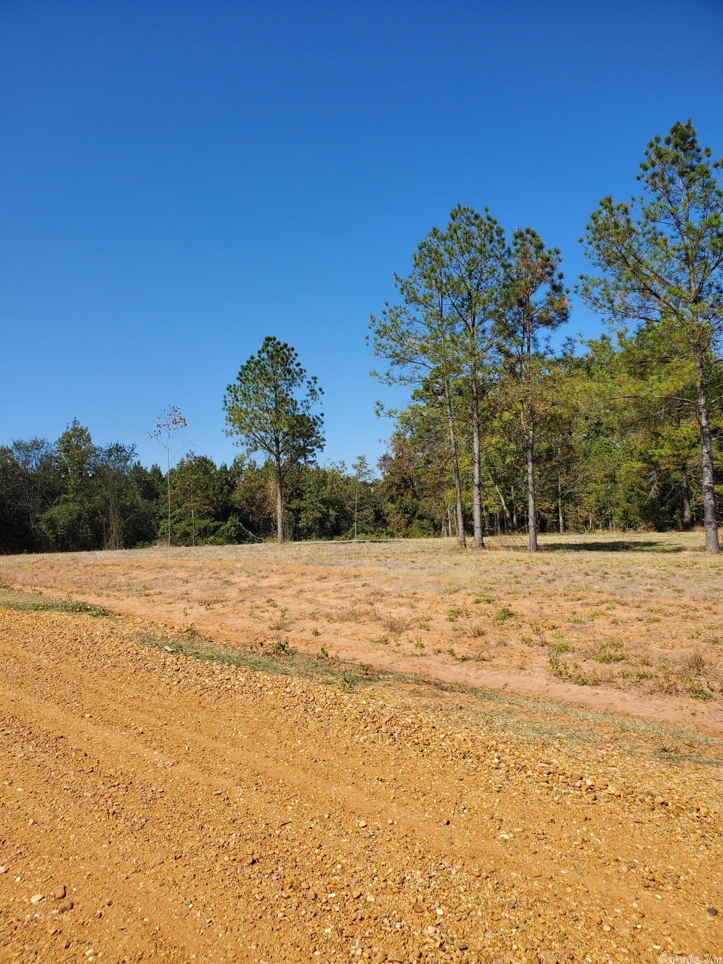 Get ready to embrace country living!! Young Pines Subdivision is newly developed and ready for dream homes to be constructed! Lots are located in the Woodlawn School District, equipped with water, electricity, and natural gas, and are located on brand new county road, Young Pines Road. Restricted to 1,500 sqft homes - no trailer, mobile, or modular homes allowed. Lot 2 is a 2.50 acre lot. Come take a look today!