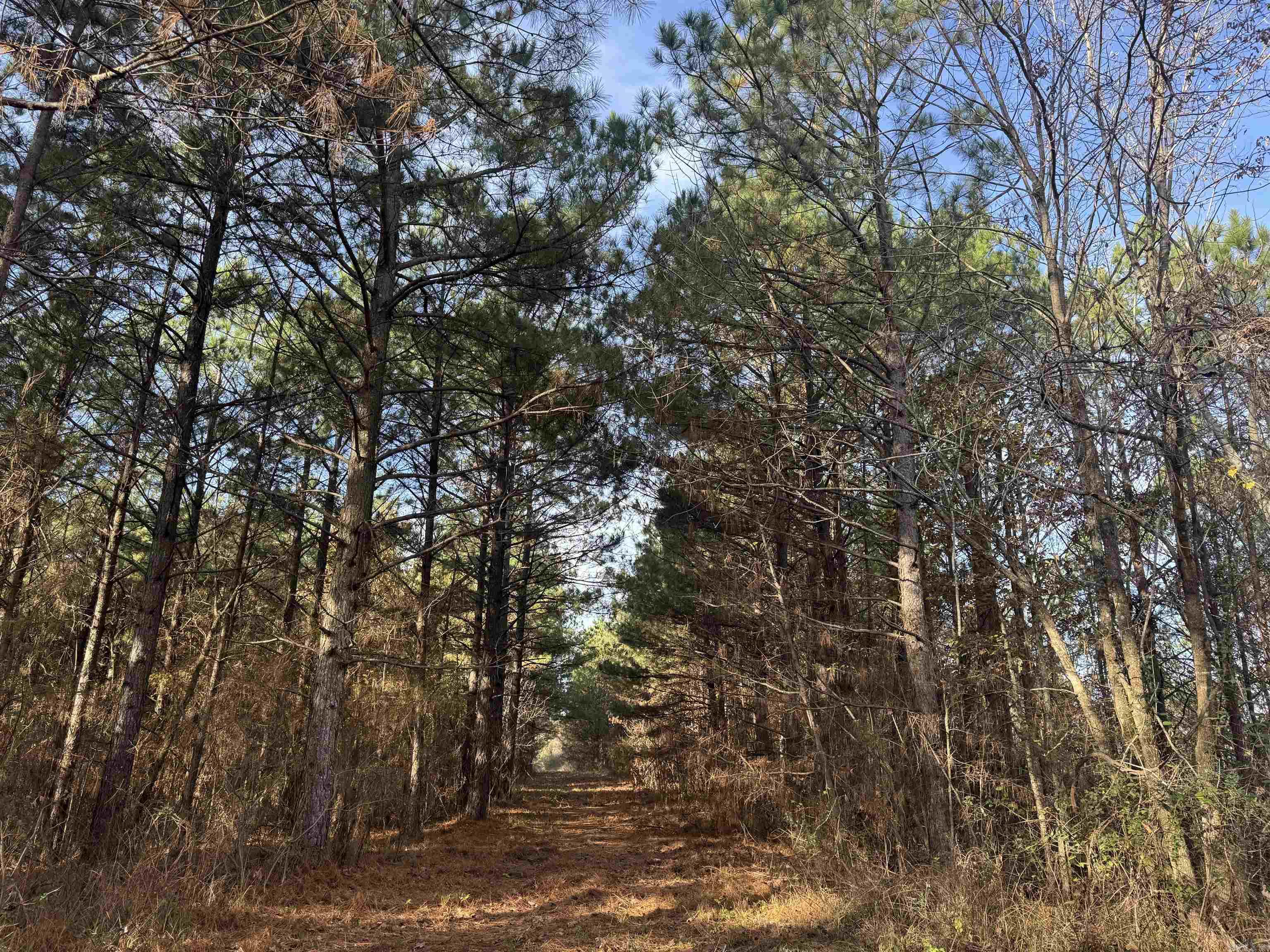 Not in Subdivision - Land