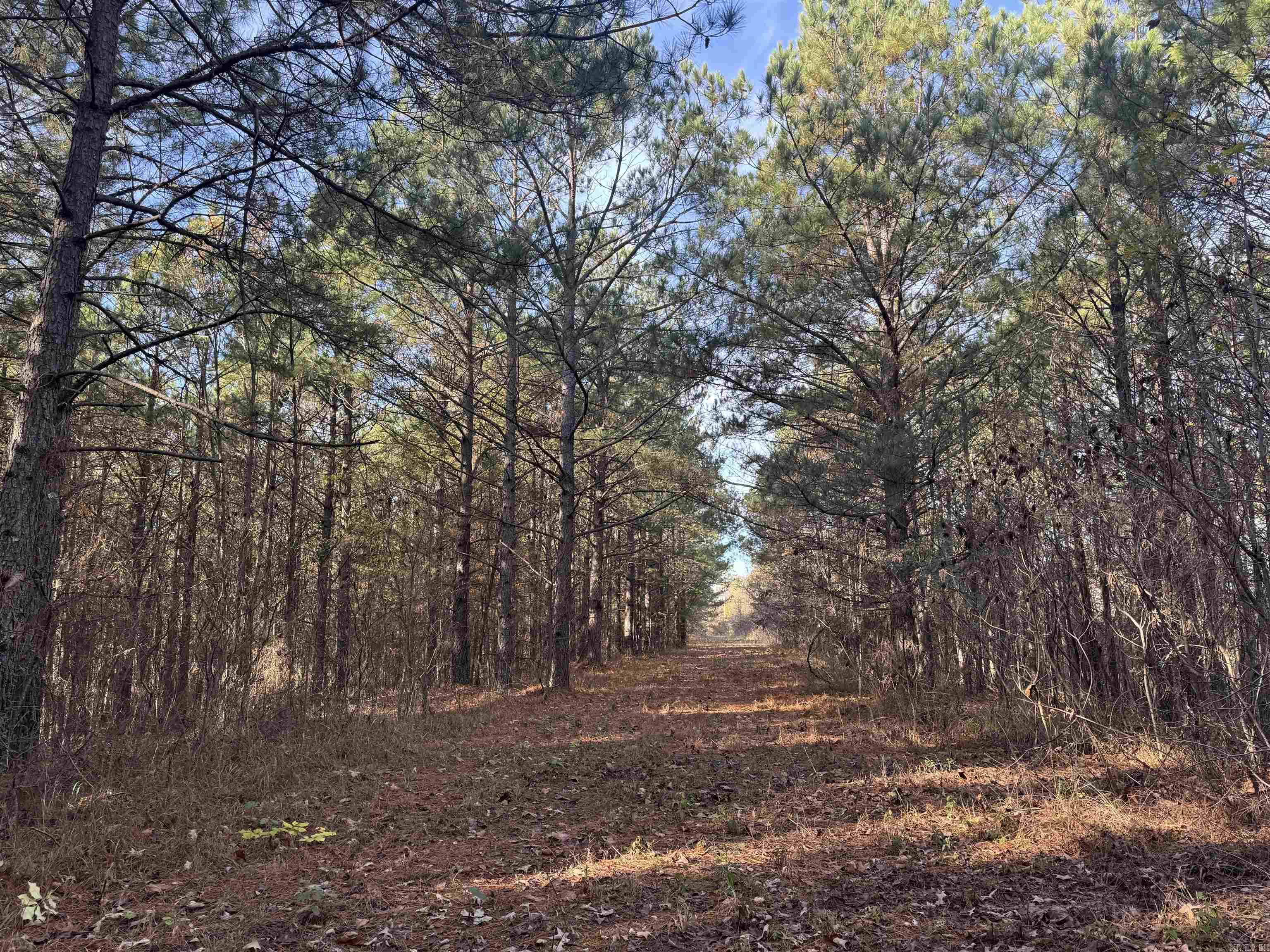 Not in Subdivision - Land