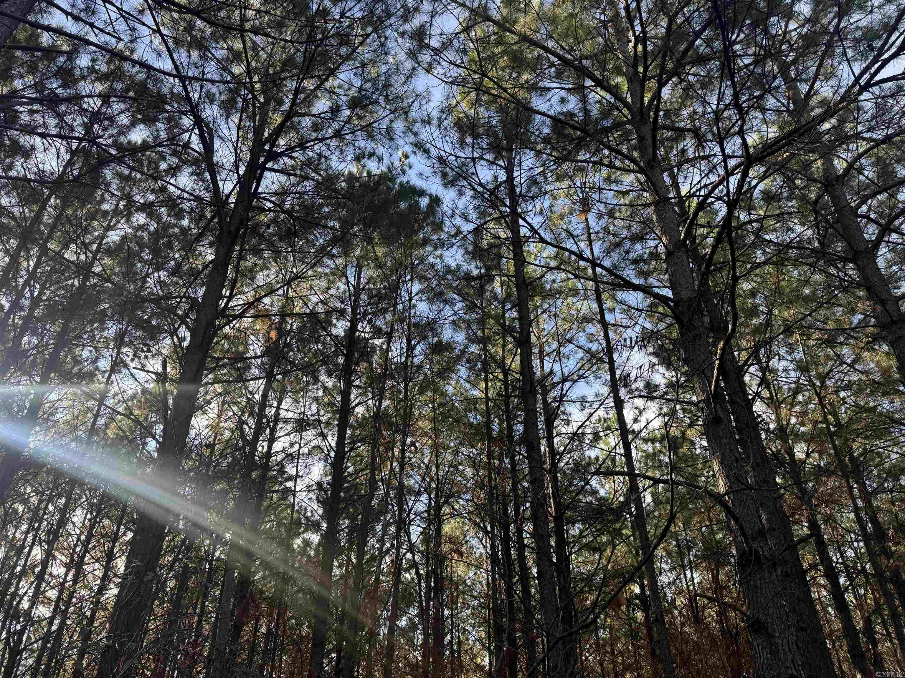 Not in Subdivision - Land