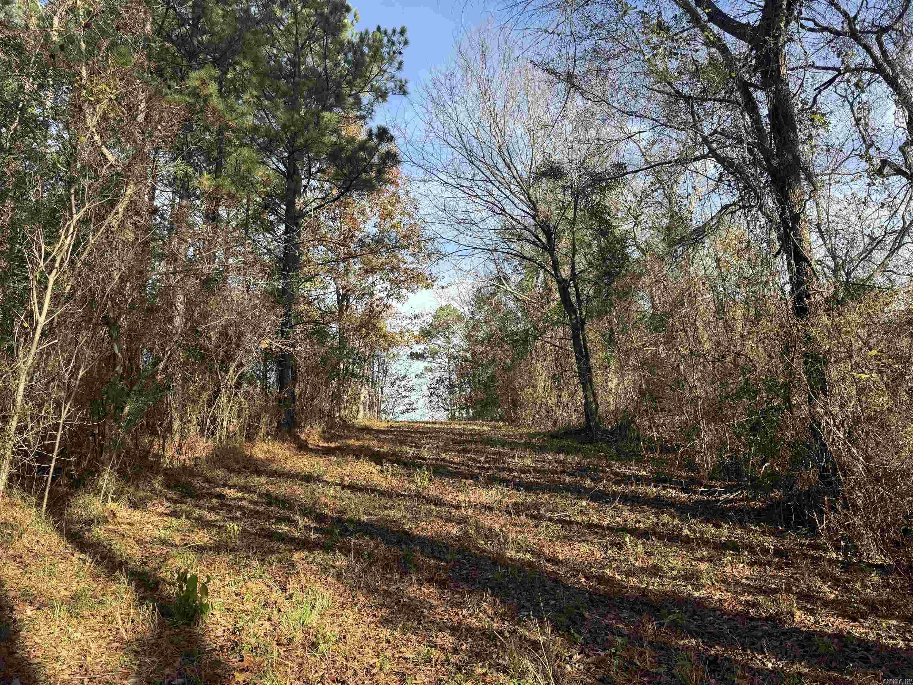 Not in Subdivision - Land