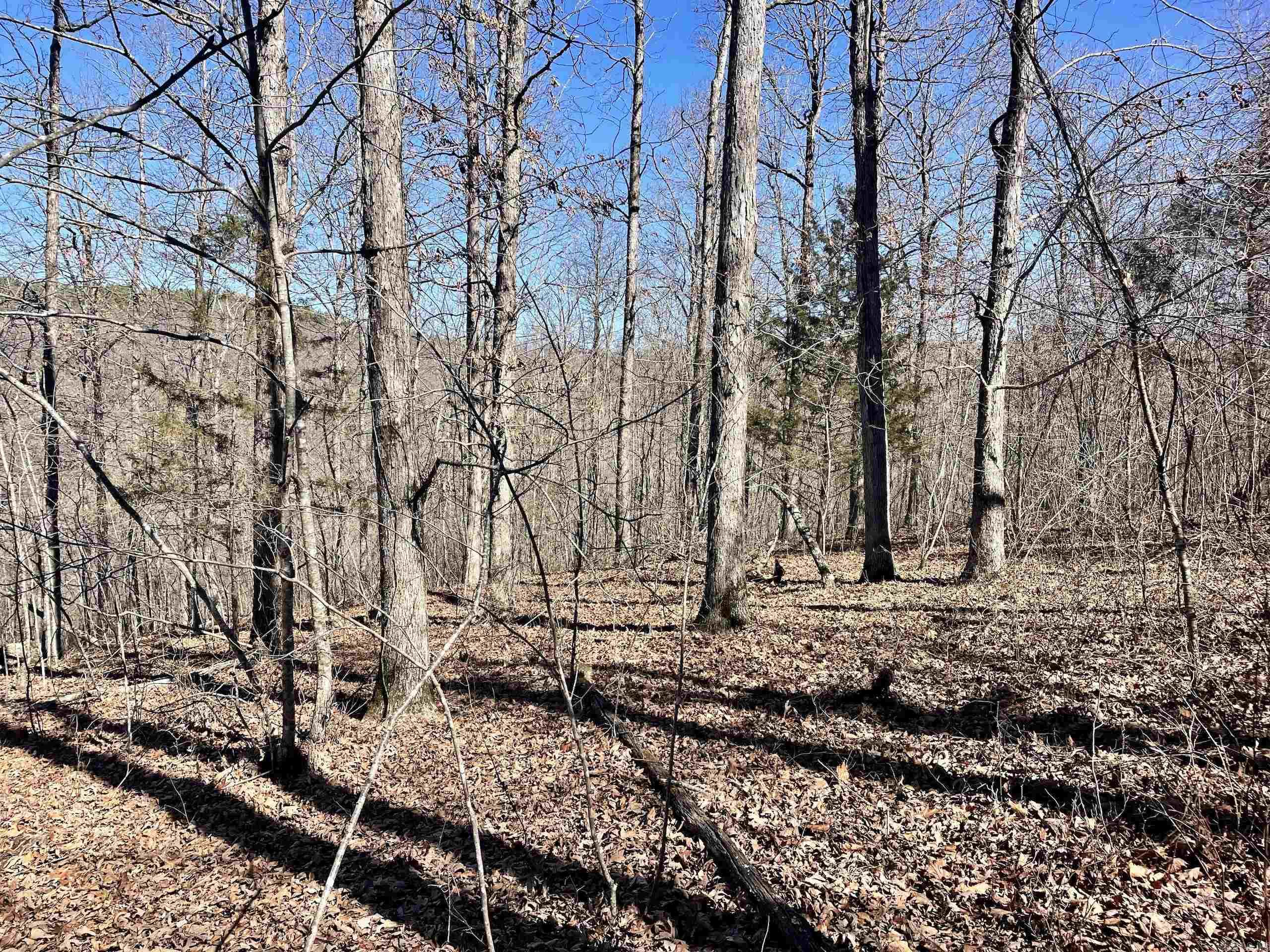 Not in Subdivision - Land